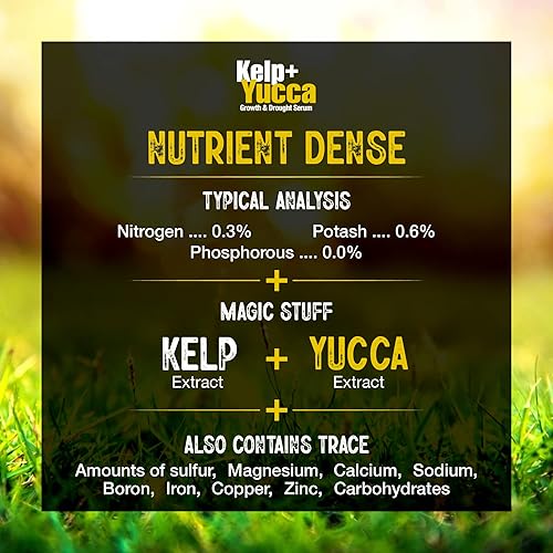 Miniatura 2 de GS PLANTFOODS Agentes humectantes de algas y yuca para suelo y plantas (1 cuarto de galón)  Mejorador económico del suelo y fertilizante vegetal