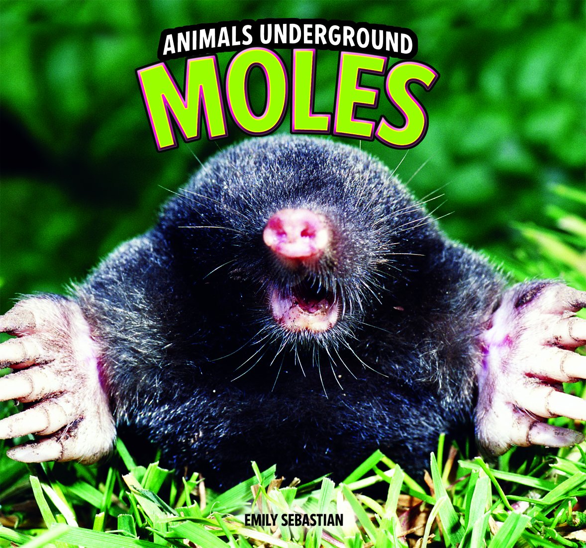 Moles (Animals Underground)