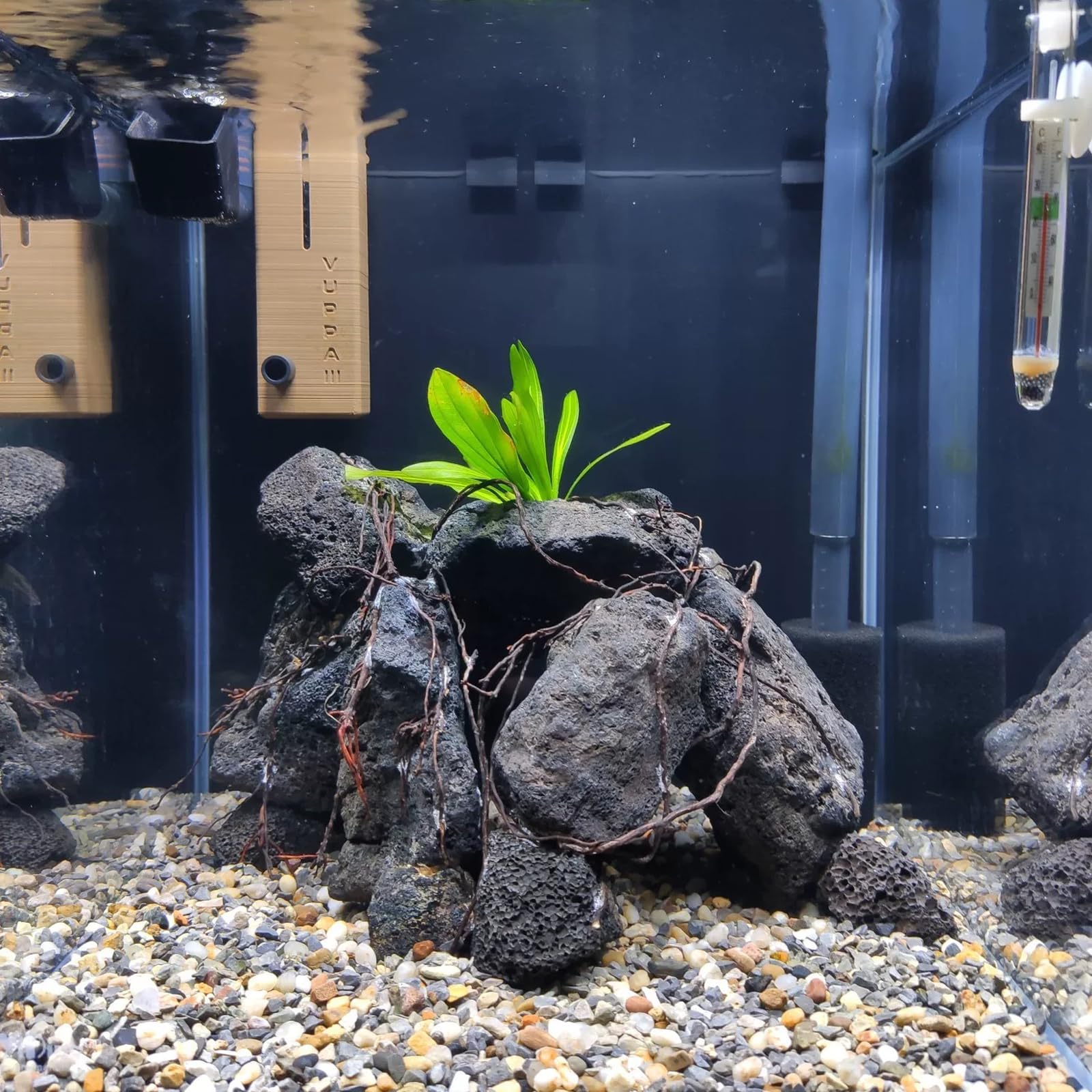 Roches de Lave Noires 4,5kg Pierres volcaniques Naturelles pour Aquarium Bassin à Poissons brasero jardinières de succulentes bonsaï et décoration aquascaping, 6-8 pièces 10-18cm