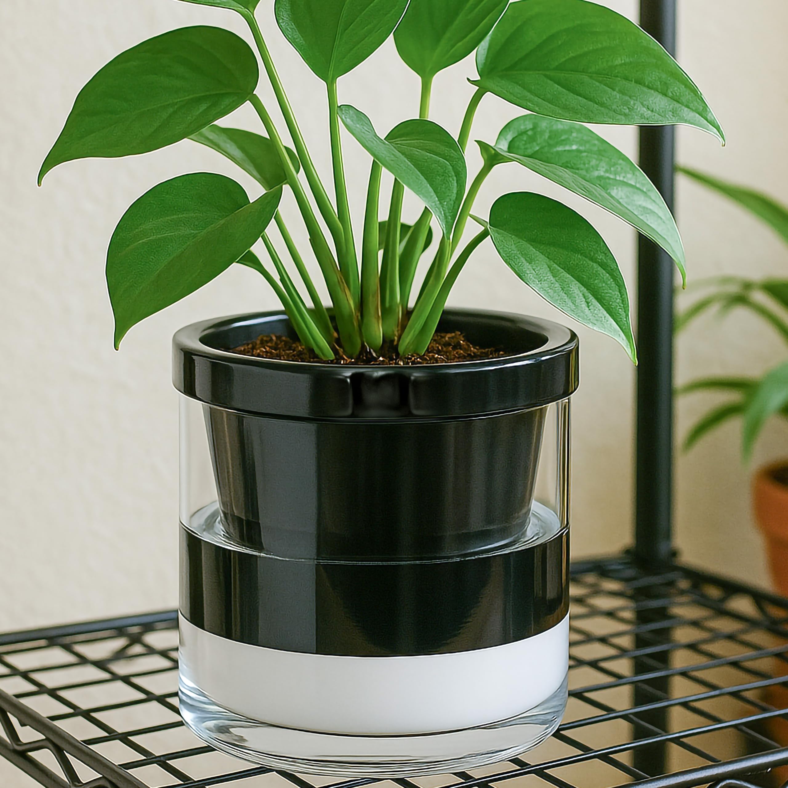 Nami Vaso per piante medio ambra - OYOY Living Design | Acquista online Nami Vaso per piante medio ambra - OYOY Living Design | Acquista online