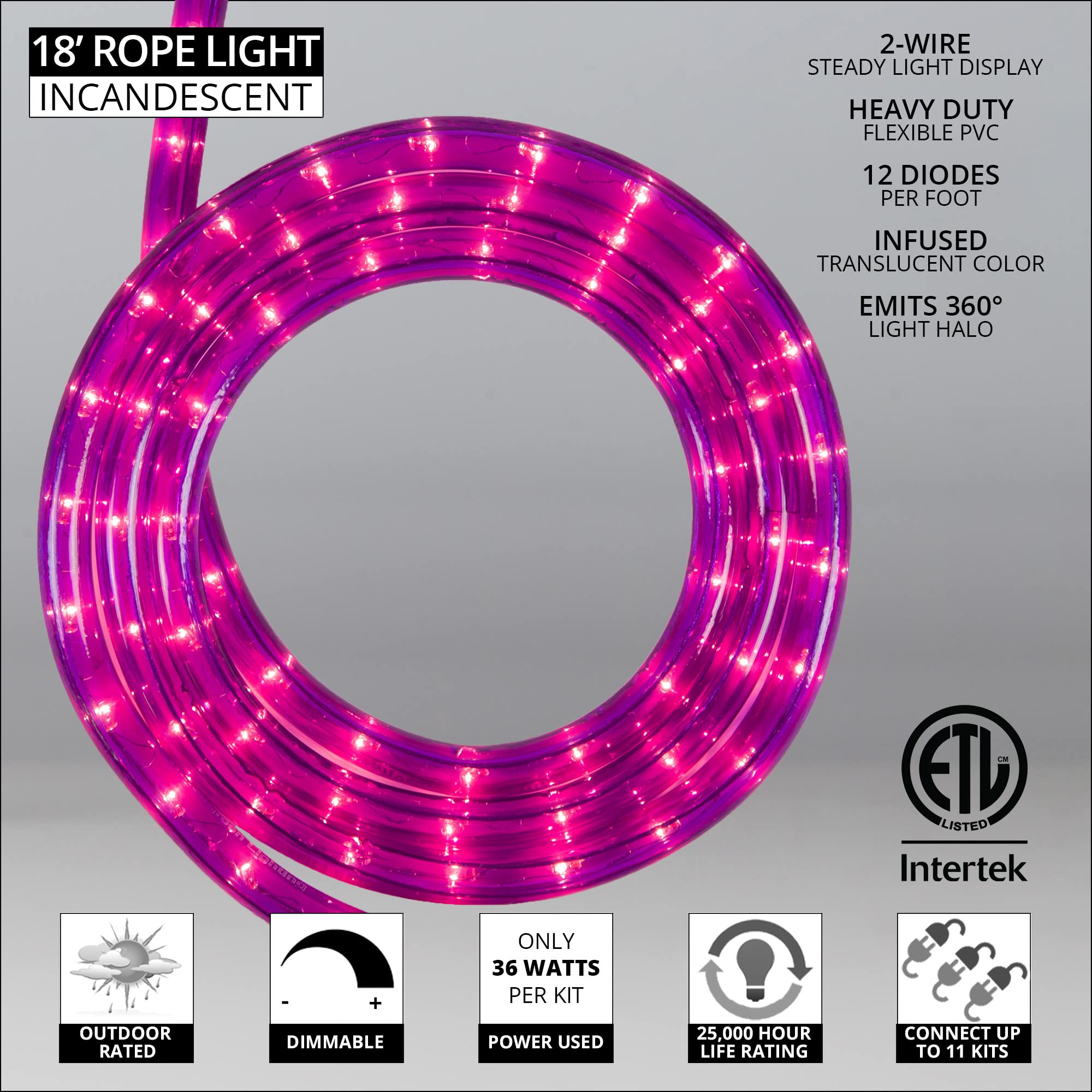 Incandescent Rope Light Kits American Lighting LED Rope Light Kit Warm