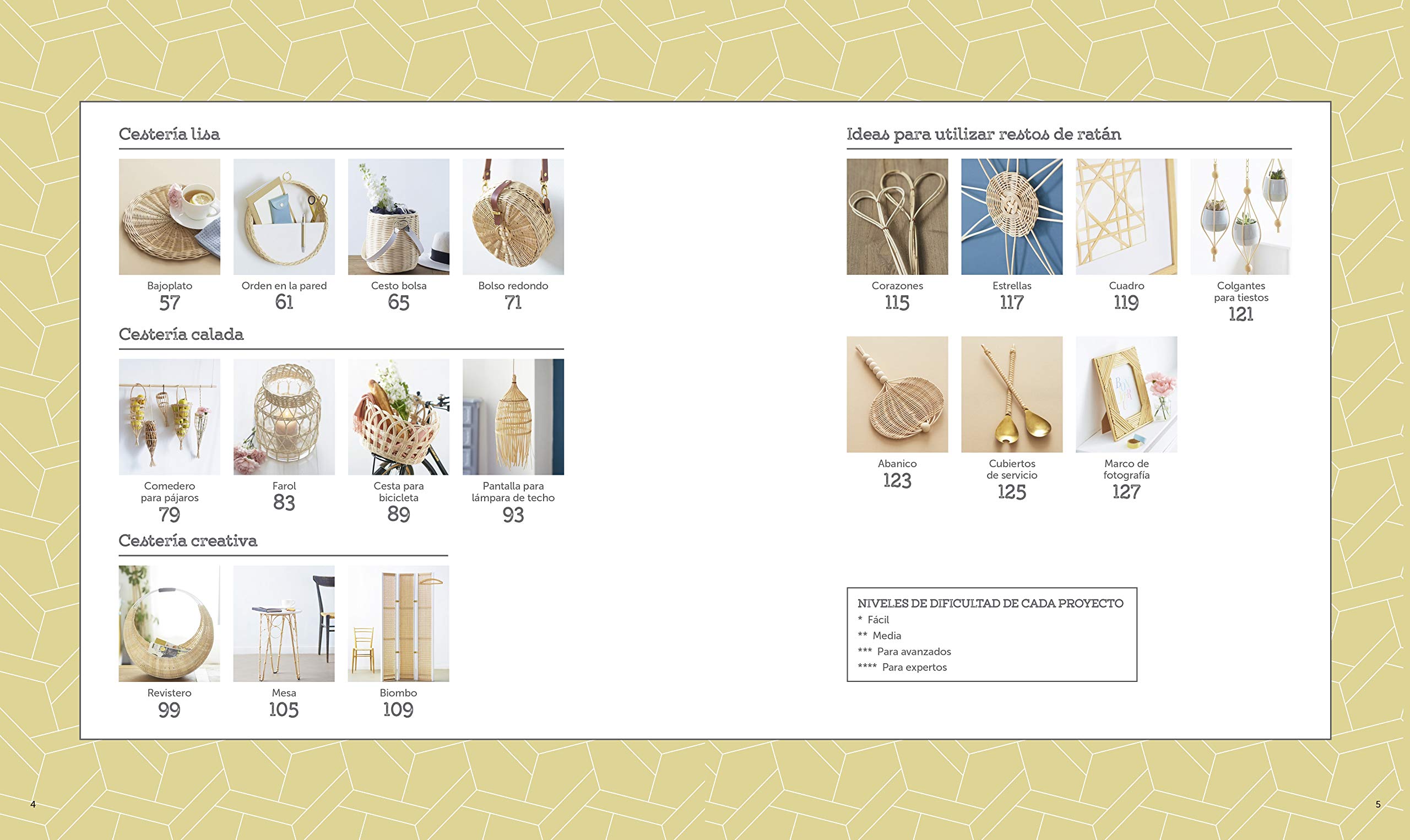 Cestería paso a paso: Iniciación a las técnicas y 22 proyectos