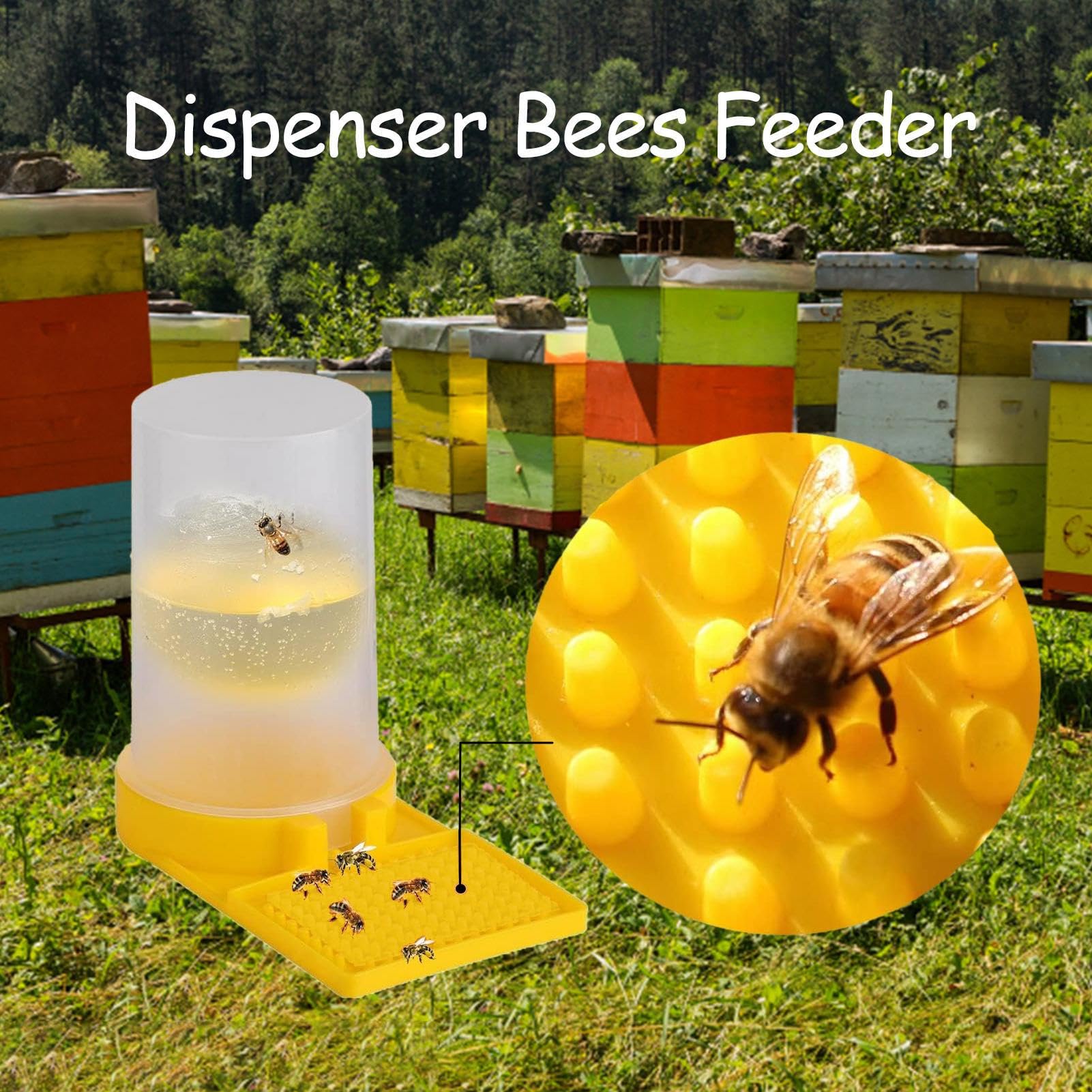 Lot de 5 distributeurs d'eau pour abeilles, entrée d'abeilles, abreuvoir pour abeilles, équipement d'apiculture, équipement d'apiculture, outil d'apiculture