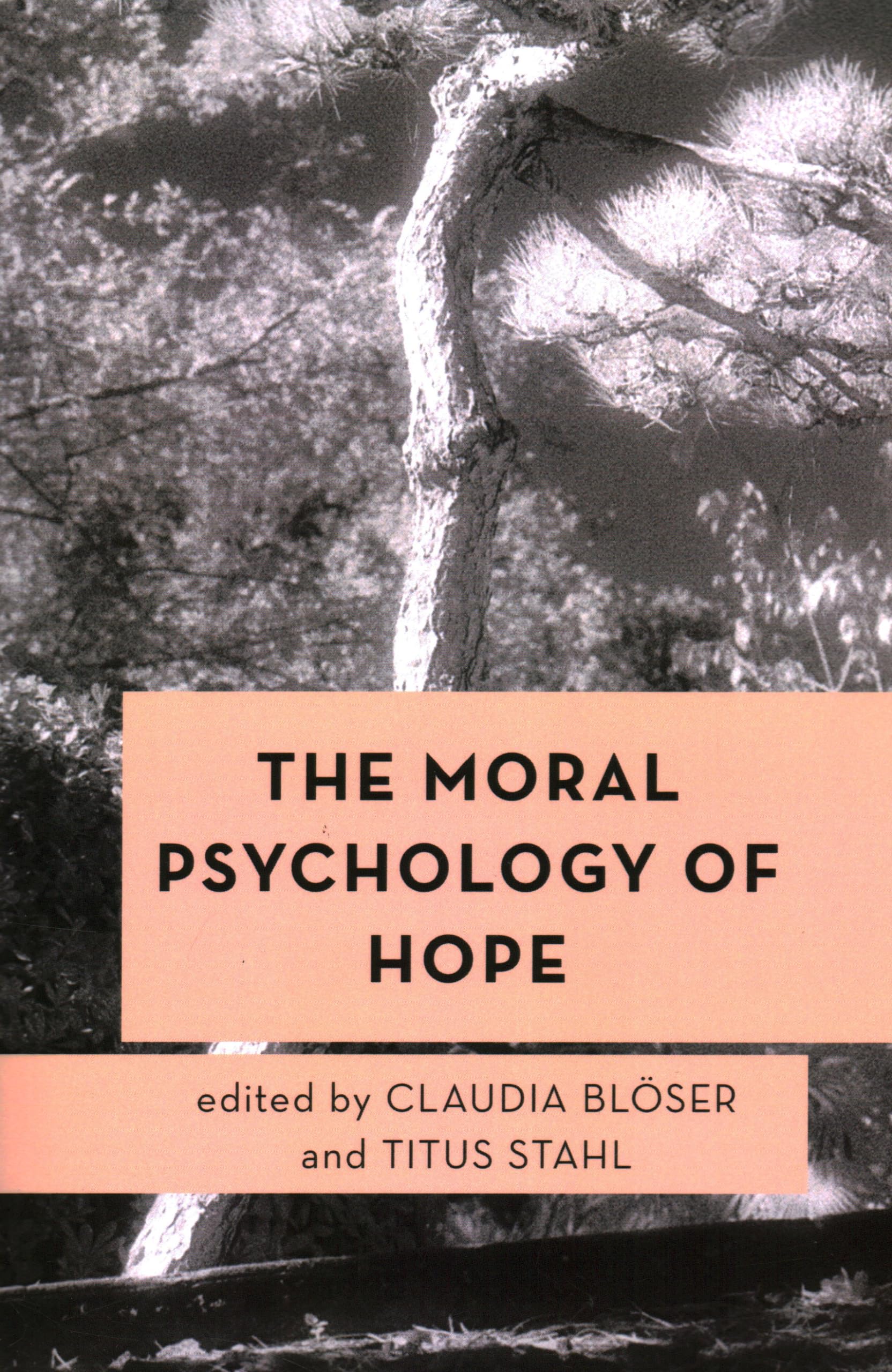 The Moral Psychology of Hope: 13 (Moral Psychology of the Emotions)
