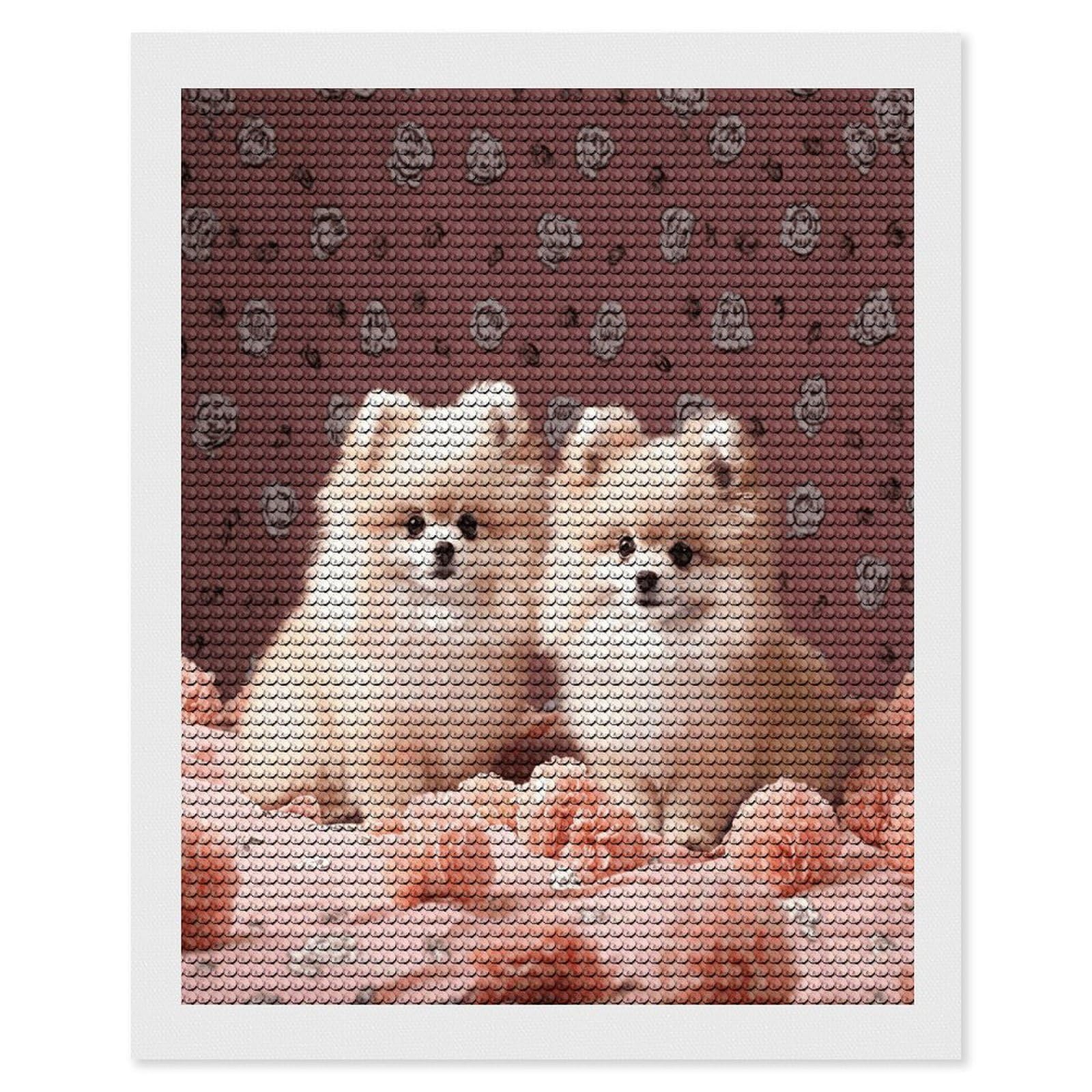 VstaDank Pomeranians Puppies and Point Diamond Painting Kits Exquisite DIY Full Round Drill Diamond Dots Painting for Adults Beginner Diamond Photo Paint with Diamond Picture Art Wall Decor 16"x20"