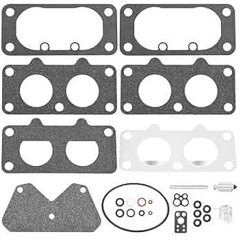 Amazon.com: Karbay 797890 Carburetor Overhaul Kit Compatible