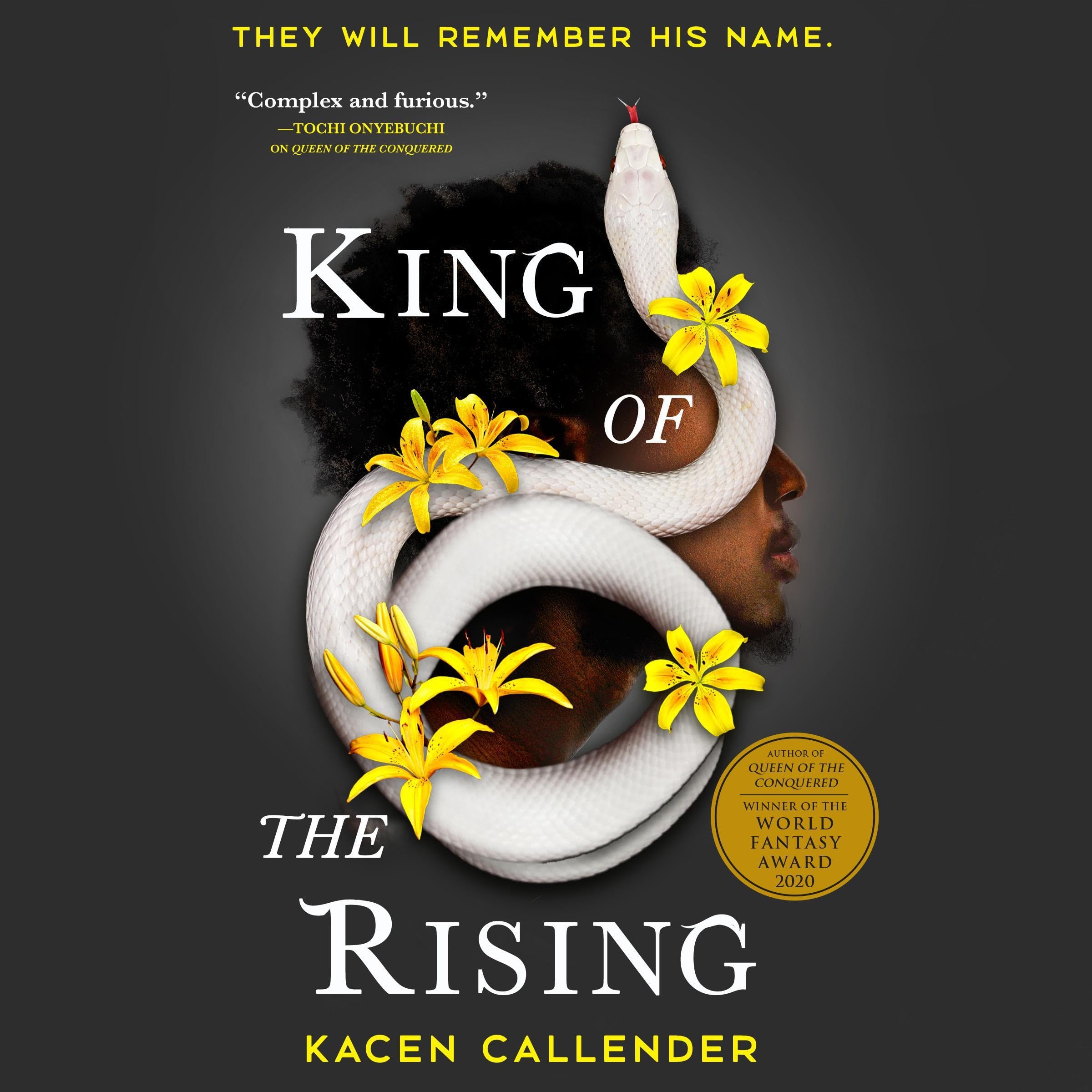 Cover art for King of the Rising