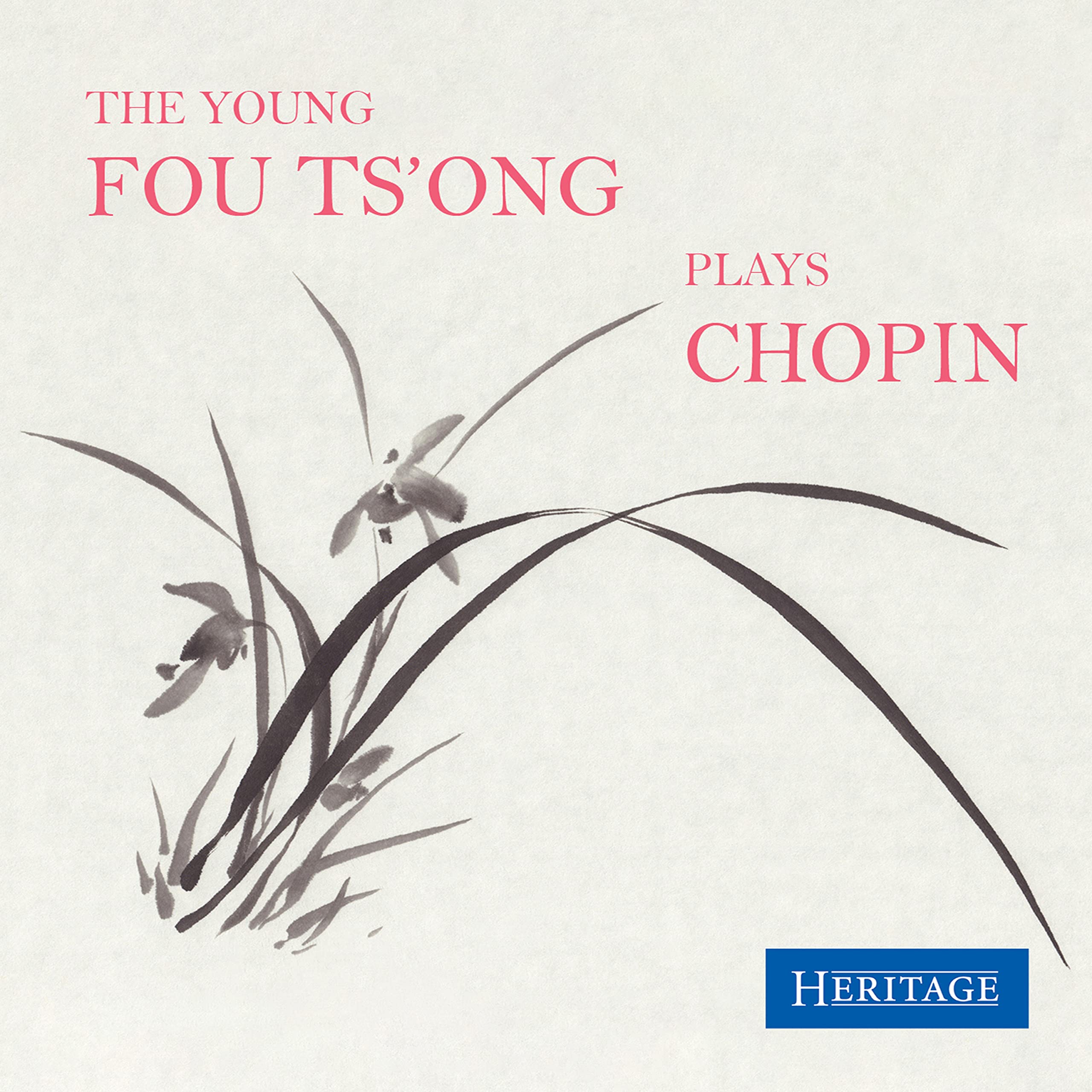 THE YOUNG FOU TSONG