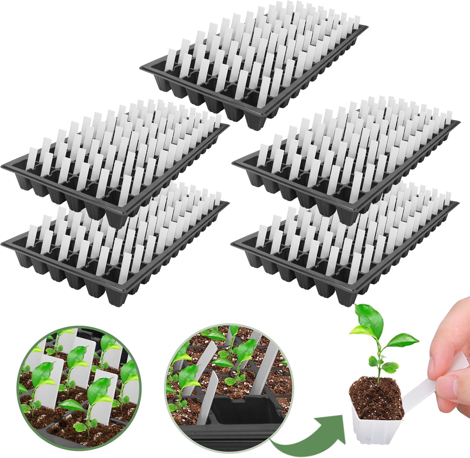 DUALCROWN5 Pack Plant Seedling Trays kit,1020 Plant