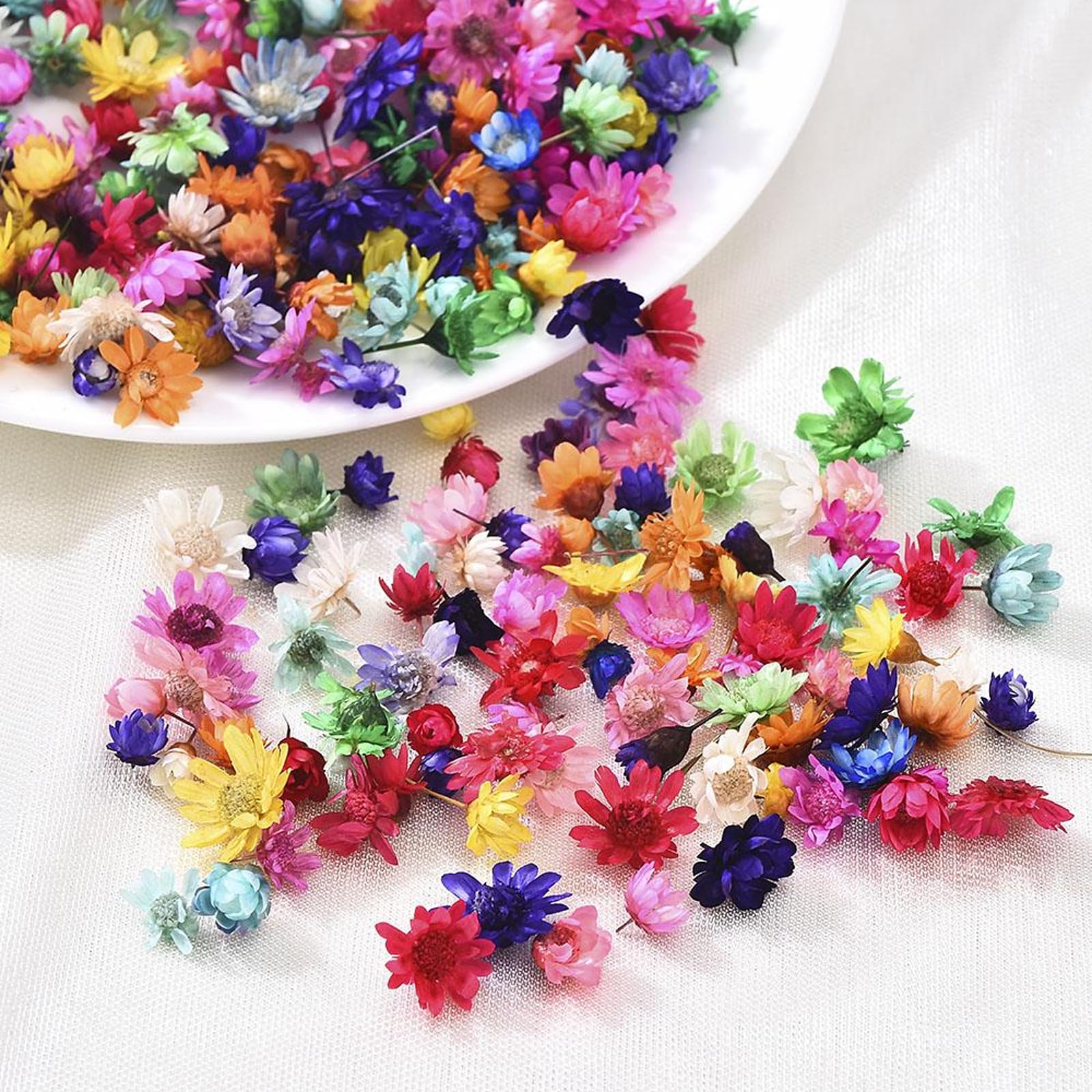 600 Pcs Colorful Dried Flowers for Crafts Resin, Small & Delicate Dried Flowers for Candles Making, Natural Miniature Dried Flower for Crafts, Small Dried Flower Heads for DIY Crafts Resin Candle