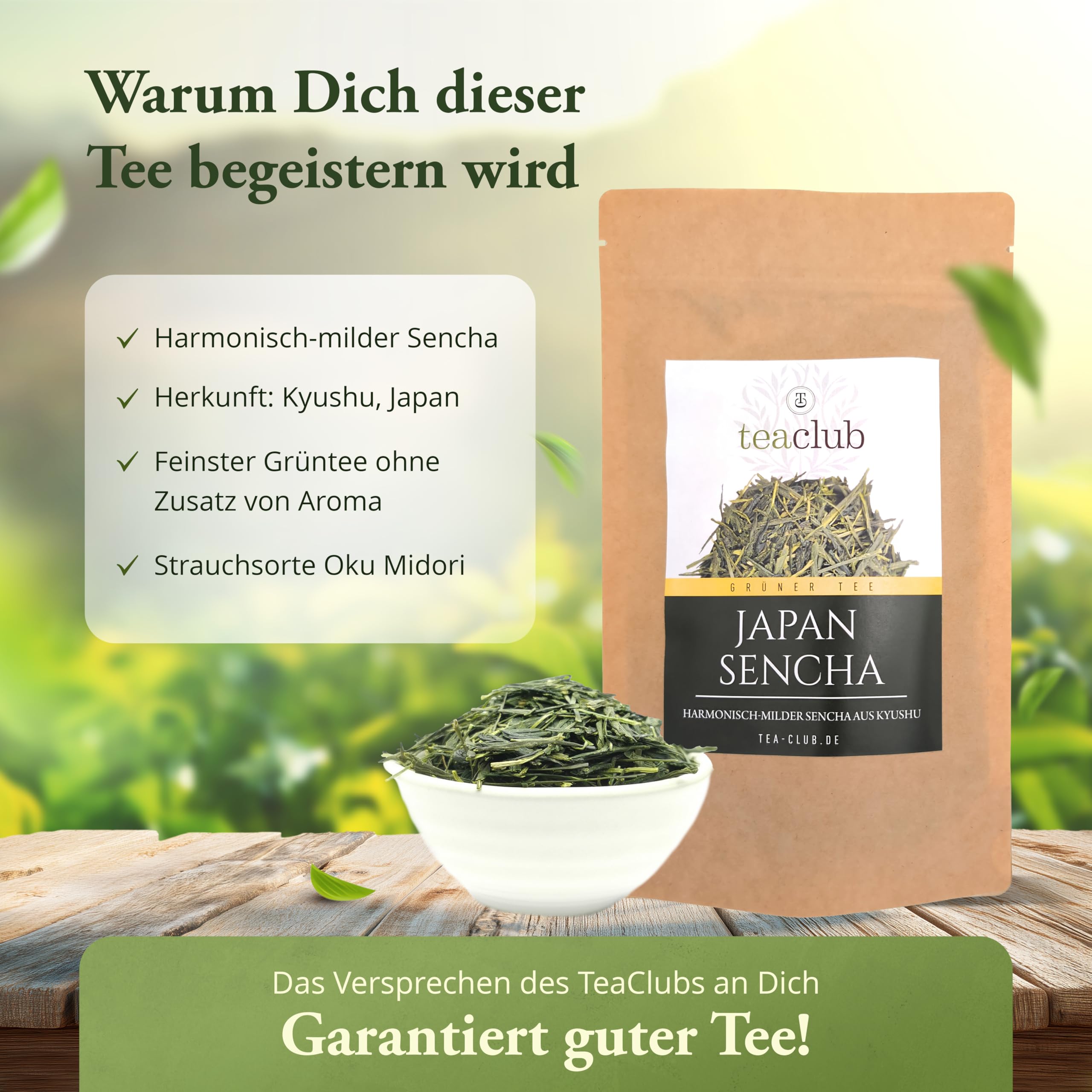 TeaClub Japan Sencha Grüner Tee Lose Blätter 500g – Japanischer Grüntee | Harmonisch-milder Alltags-Sencha, Loser Grüntee, hellgrüne Infusion, bis 40L/100g, Grüntee aus Kyushu