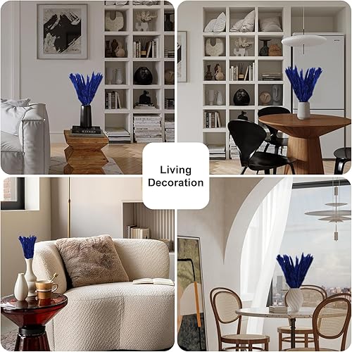 Miniatura 3 de 30 piezas pequeñas de hierba de las pampas secas de flores secas naturales decoración de hierba seca de junco, flor eterna de pampas, hierba seca