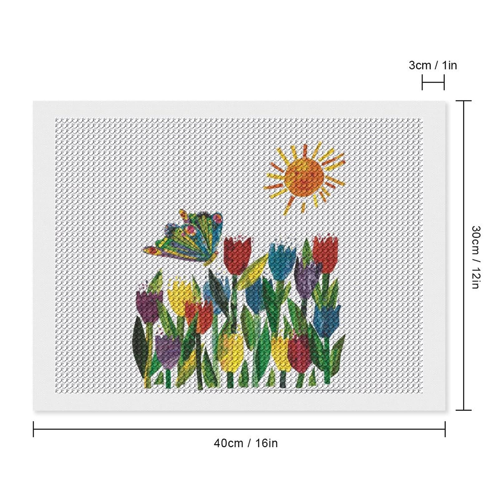 Amazon.co.jp: 5Dダイヤモンドキット はらぺこあおむし 絵本