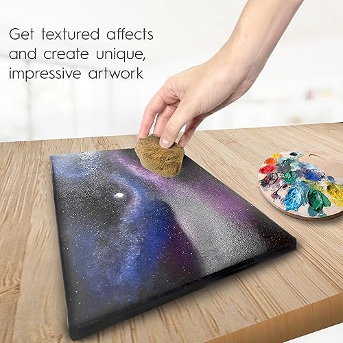 Miniatura 4 de Naroa Paquete de 4 esponjas de mar naturales para pintar, juego de herramientas único sin blanquear, ideal para artistas y niños, acrílico,