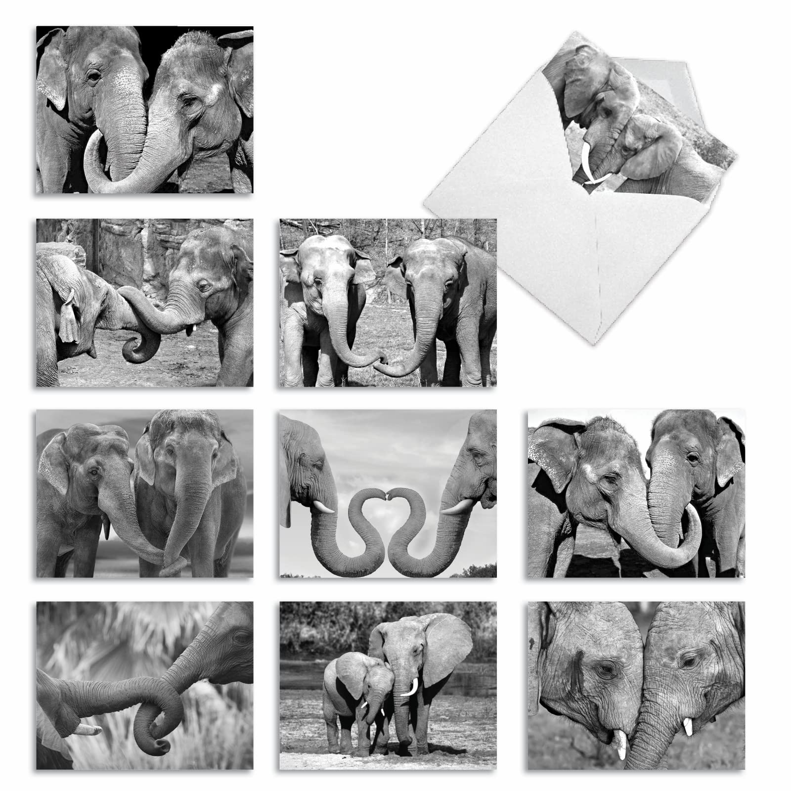Best Card Co 10 Mini Blank Boxed Notecards Trunks of Love M2370OCB