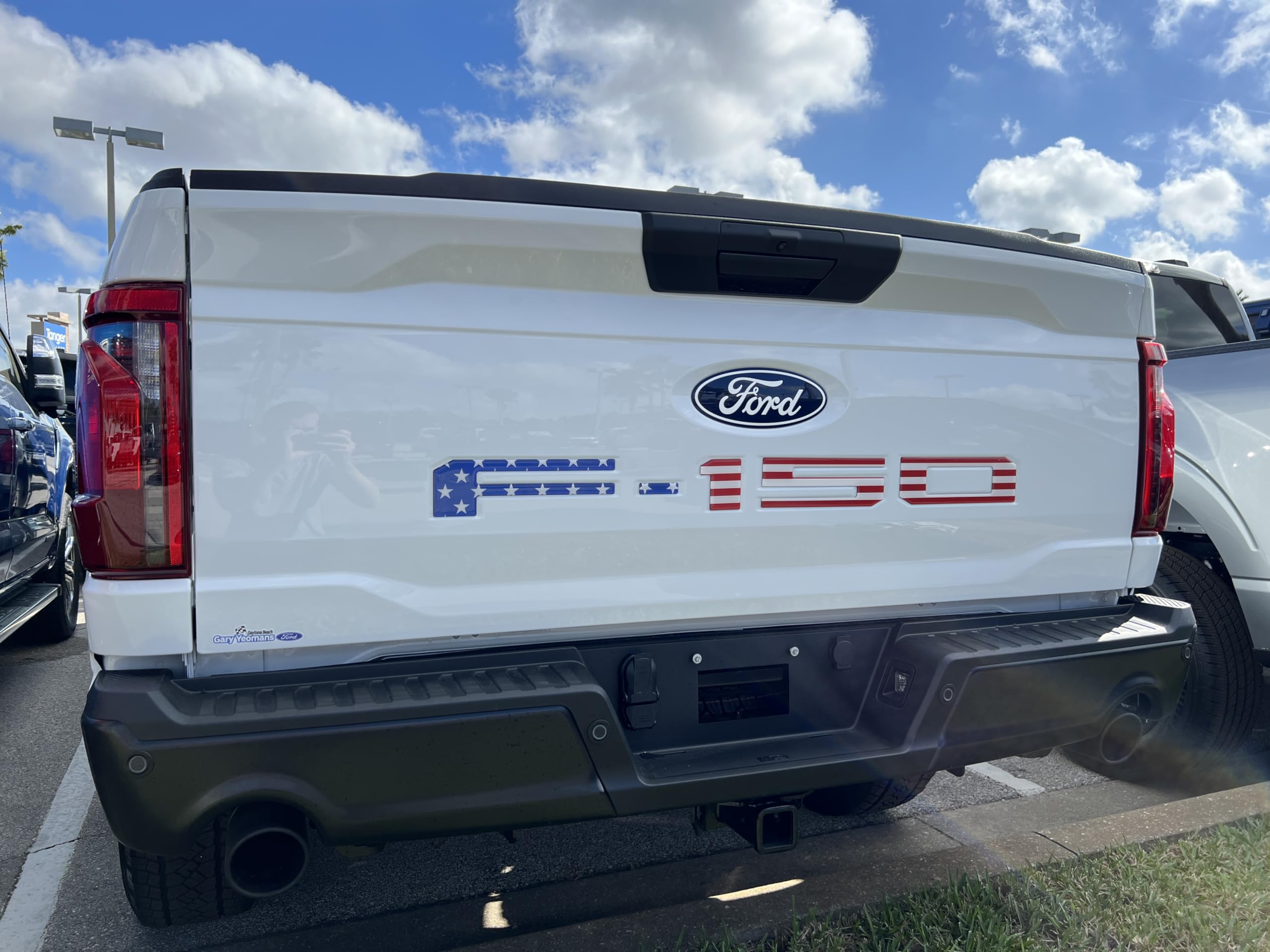 F-150 Tailgate Emblem Letter Inserts - Compatible with 2021-2026 F-150