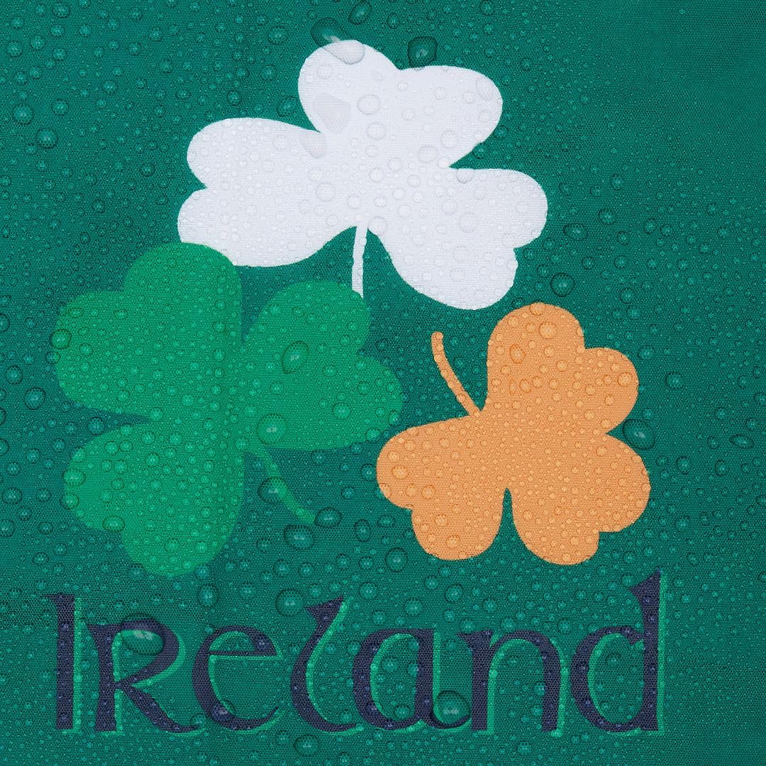 ECO CHIC Lightweight Foldable Reusable Shopping Bag Water Resistant Tote Bag (Tourist Collection Ireland) - Image 3