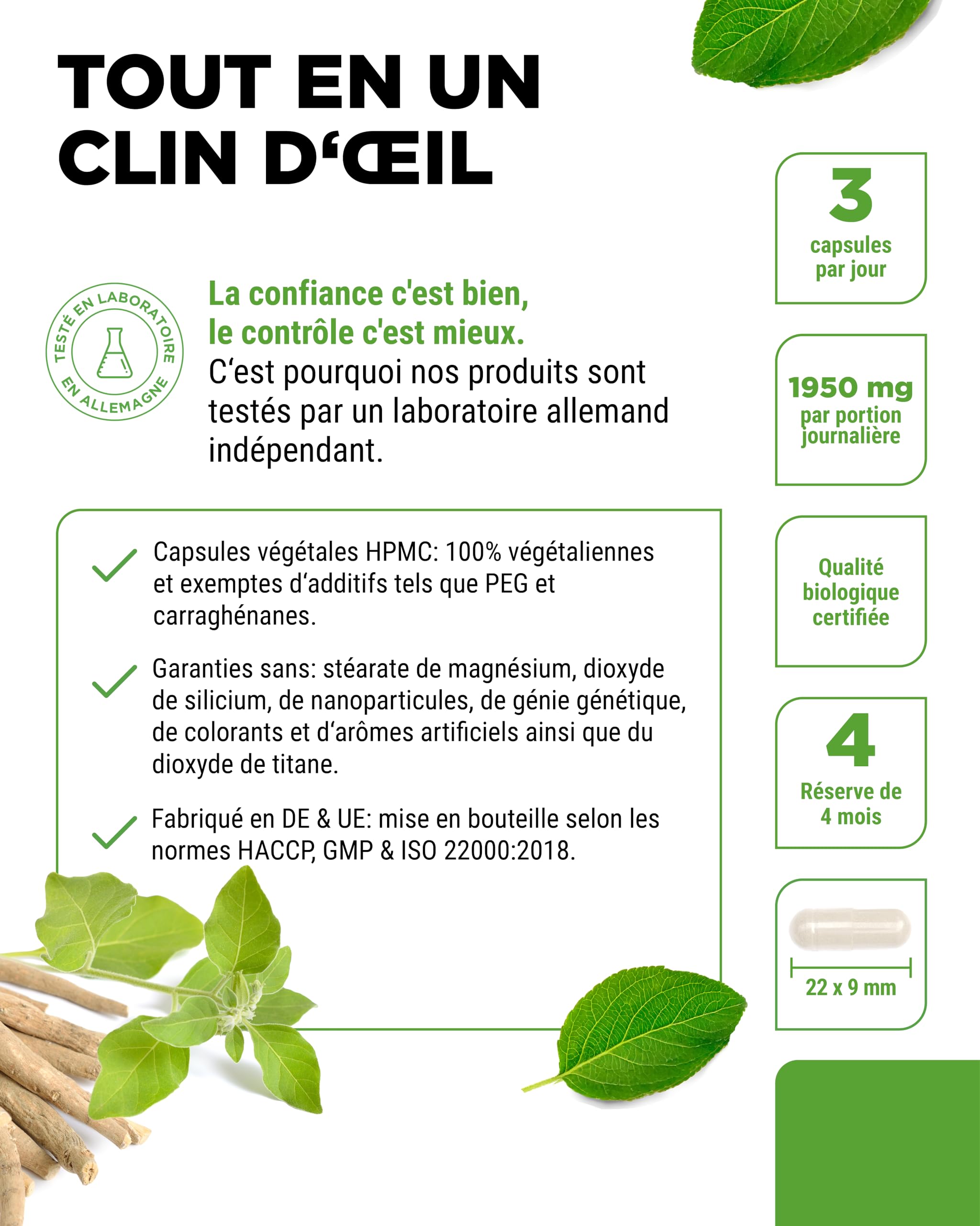 vit4ever Original Bio Ashwagandha - 365 gélules - Hautement dosé avec 1950mg par portion journalière - Véritable baie du sommeil indienne - Testé en laboratoire - Vegan