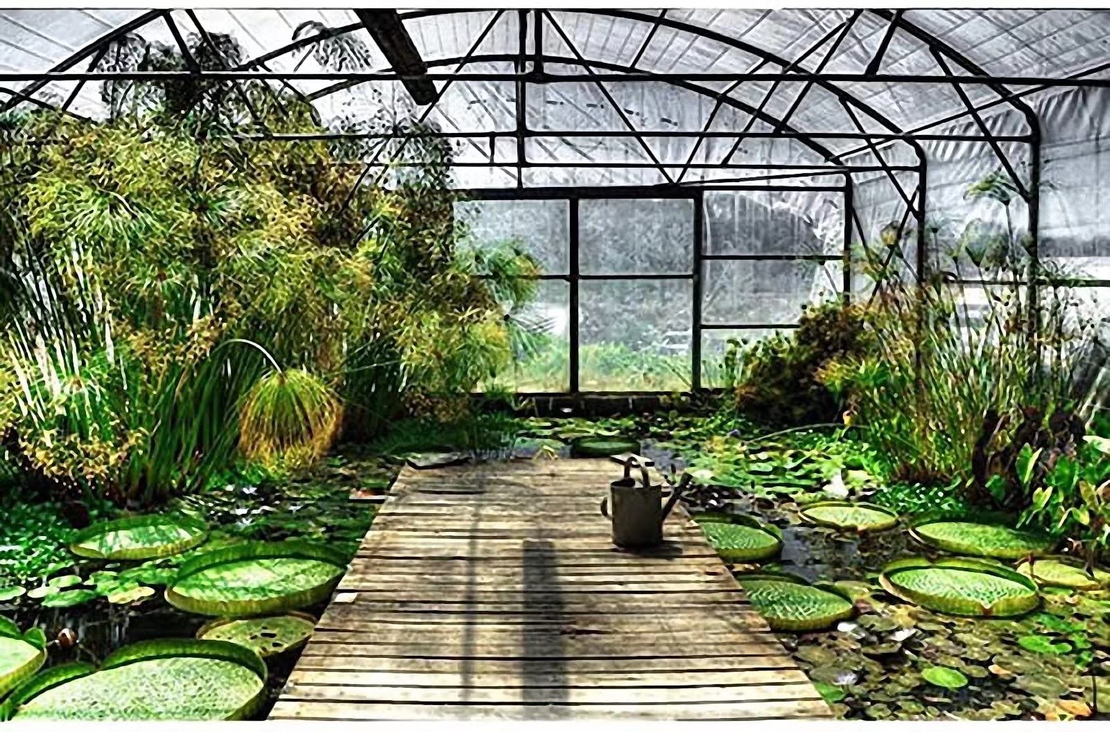 QOFLY 3x4m Bâche Transparente avec œillets, bâche de Couverture imperméable en polyéthylène, idéale comme bâche de Serre, Rideau d'extérieur, avec Corde
