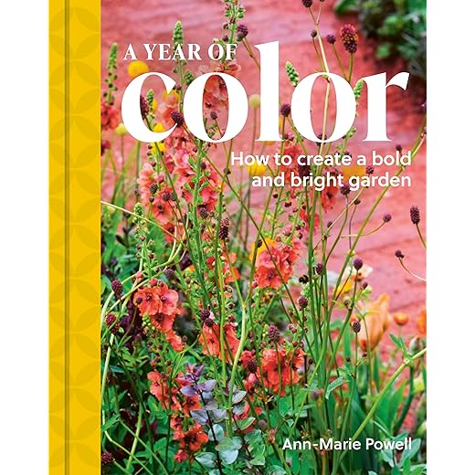 A Year of Color: How to create a bold and bright garden