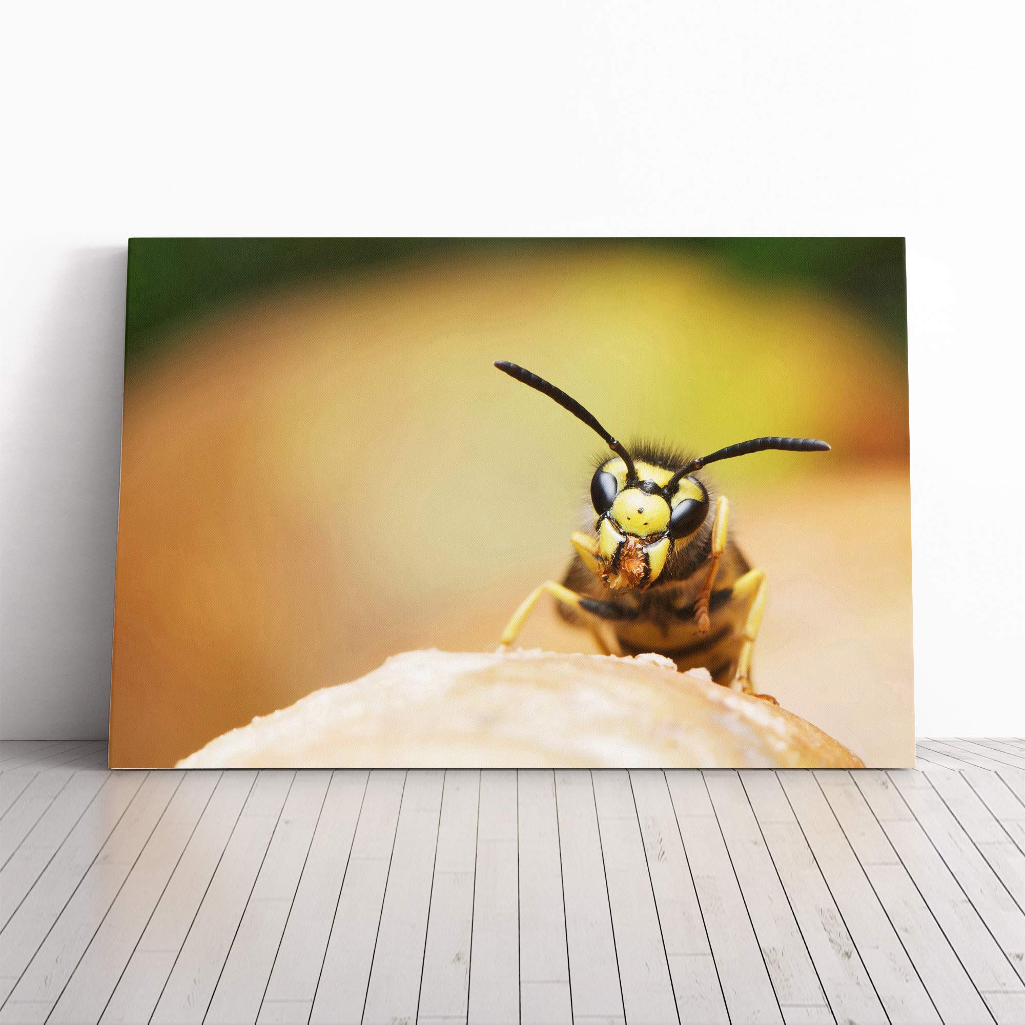 Wasp Canvas Print | Gallery Wrapped 30mm Frame Wall Art | 30x20 inches | Ready to Hang | Modern Picture | Living Room Bedroom Lounge Office