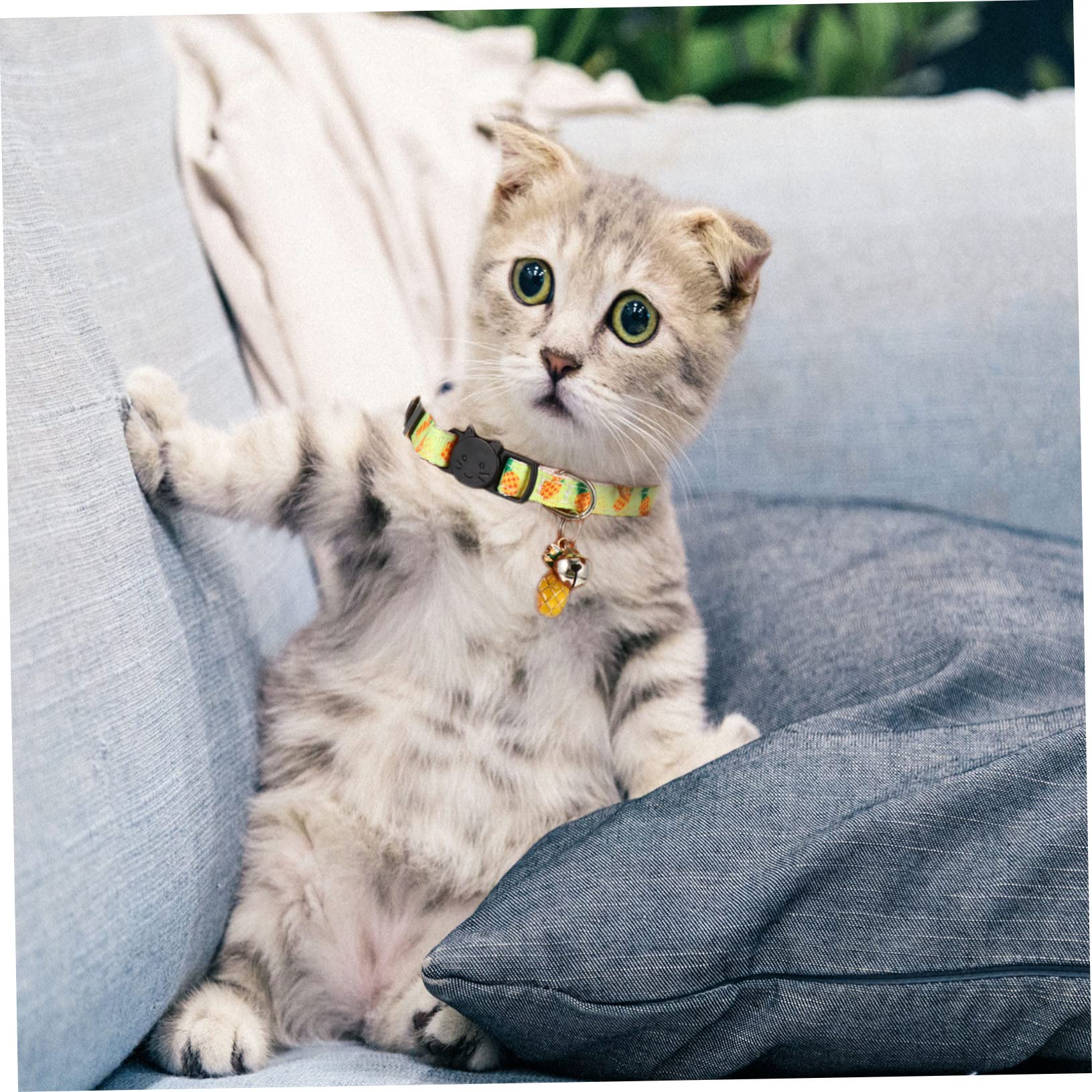 INOOMP 12pièces Collier pour Chat Réglable avec Cloche Et Accessoires Fruits Avocat Ananas Pastèque Cerise Colliers Sécurisés pour Animaux De Compagnie