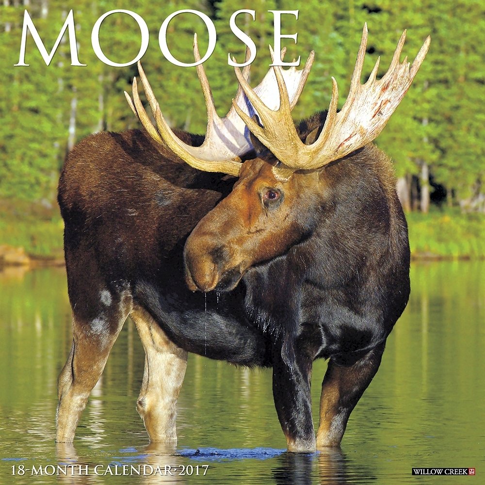 Moose 2017 Wall Calendar Calendar – Wall Calendar, July 6, 2016