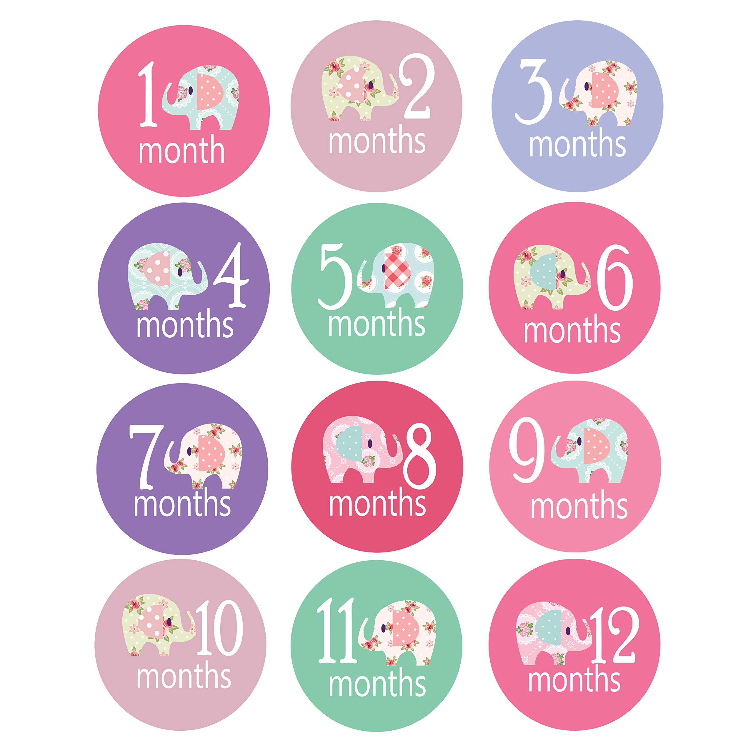 Babytime Monthly Stickers