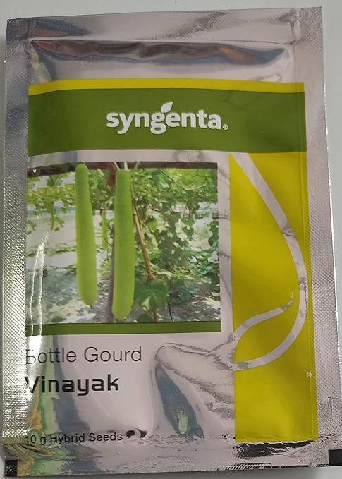 Syngenta Organic F1 Hybrid B Gourd Vinayak High yielding Vegetable seeds