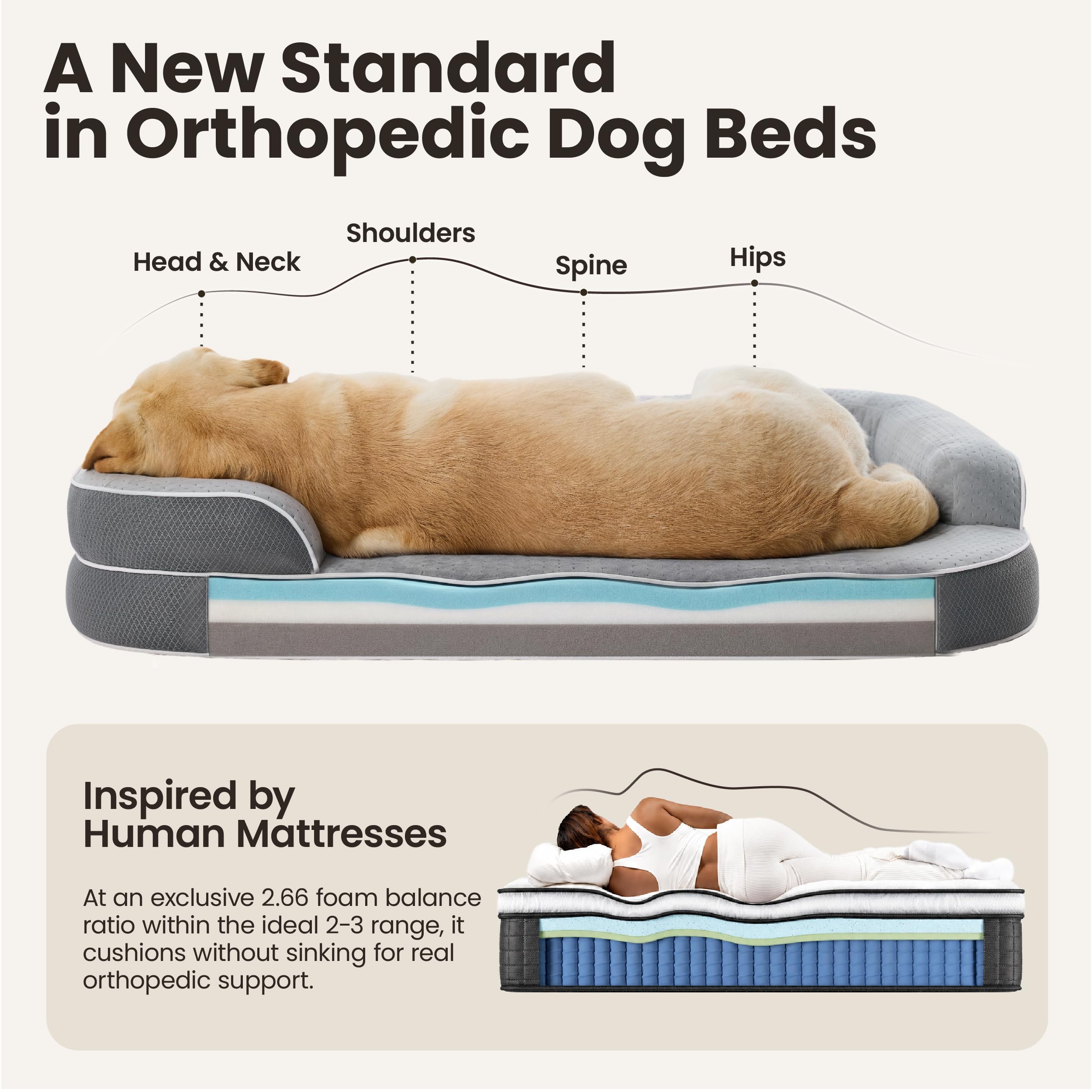 LE SURE RealOrtho™ Memory-Schaum Hundebett groß - orthopädisches Hundesofa | Premium 3-Schicht Stützschaum Hundekorb, Senioren-Gelenkschutz, wasserdichter & waschbarer Bezug für Tiefschlaf, 106cm grau