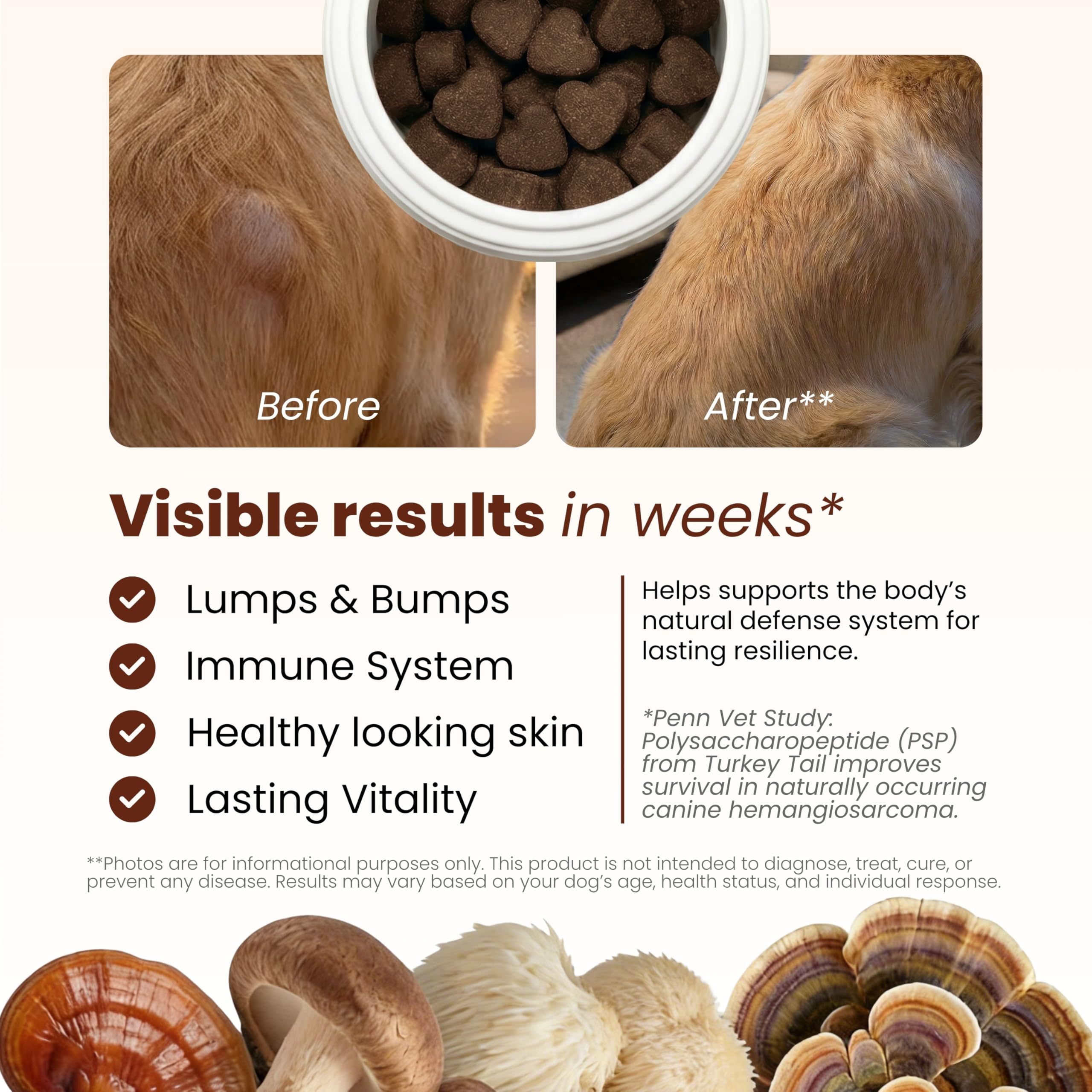 Pawpulse Formula Turkey Tail Mushroom for Dogs with Lion's Mane & Reishi – Senior Dog Supplement for Lipoma, Lumps & Bumps – Immune Support & Gut Health – 80 Count — Amazon image 3