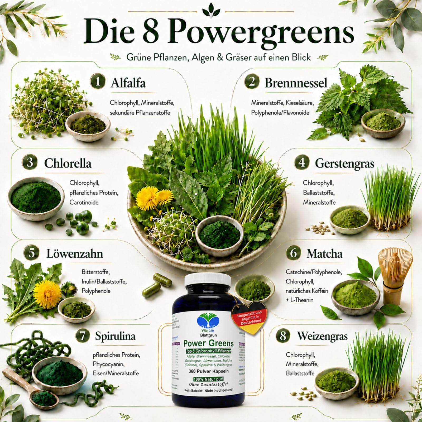 Green Power Greens Top8 Chlorophyll Supergreens 360 Pulver Kapseln mit Alfalfa Brennnessel Chlorella Gerstengras Löwenzahn Matcha Spirulina Weizengras. Natur pur. Ohne Zusatzstoffe. 26333-360