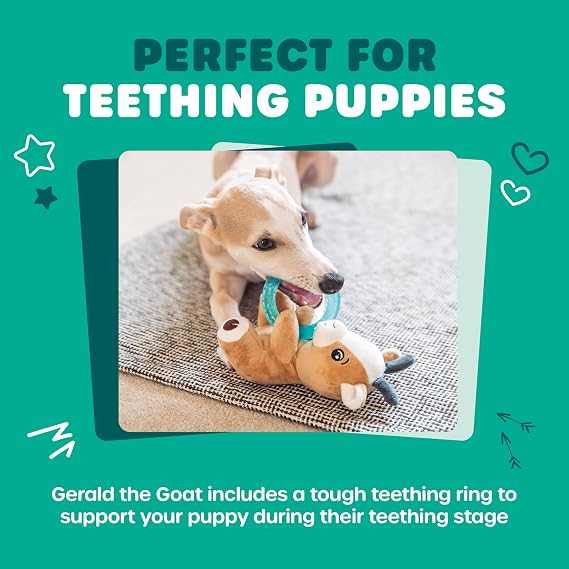 Webbox Gerald the Goat - Plush & Squeaky Dog Toy with Puppy Teething Ring