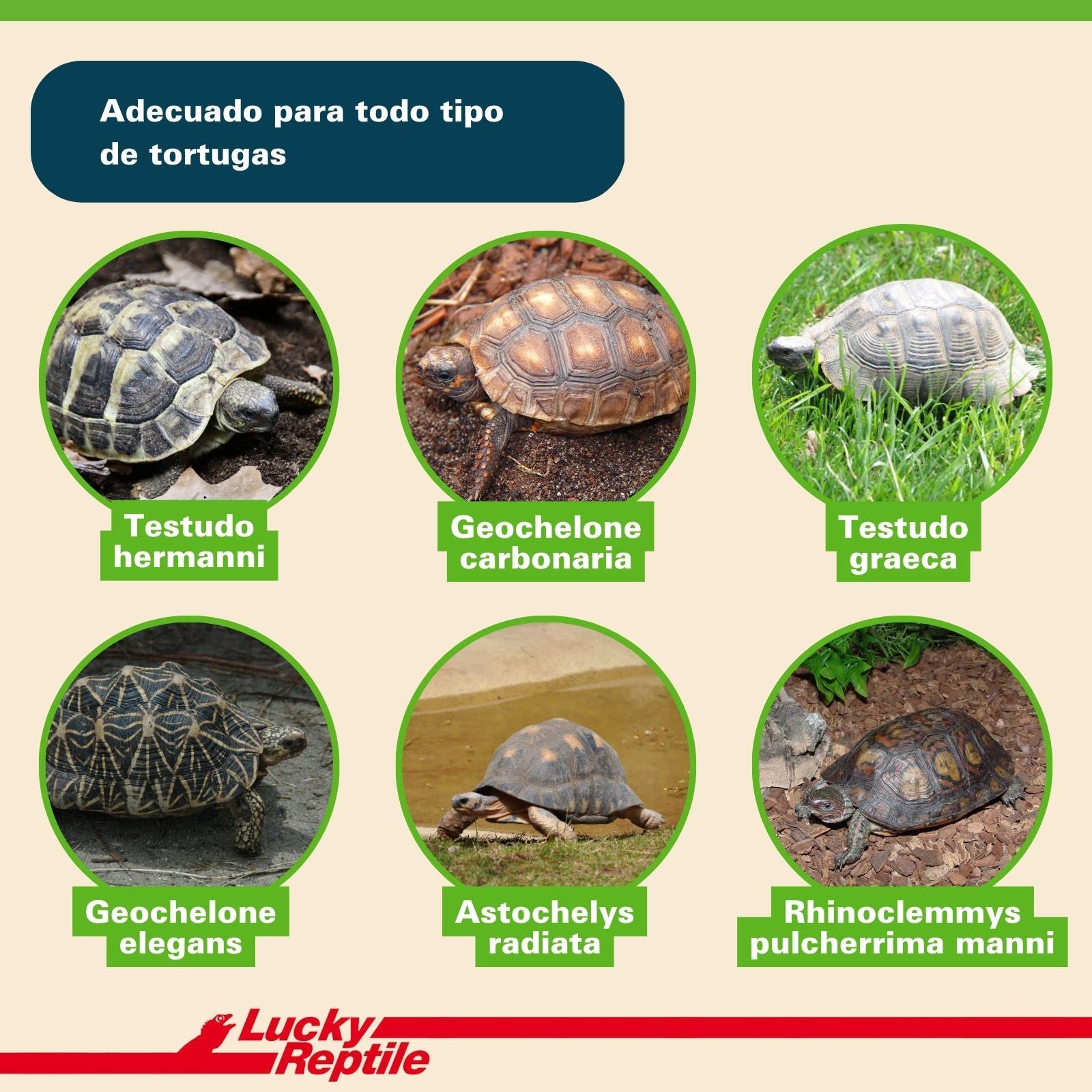Lucky Reptile Tortoise Bedding, 20 Litre