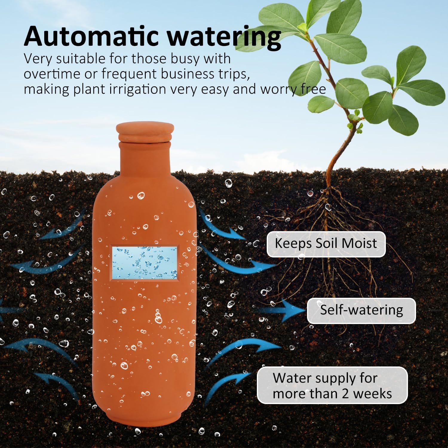 Lot de 3 bouteilles à arrosage automatique en terre cuite pour plantes en