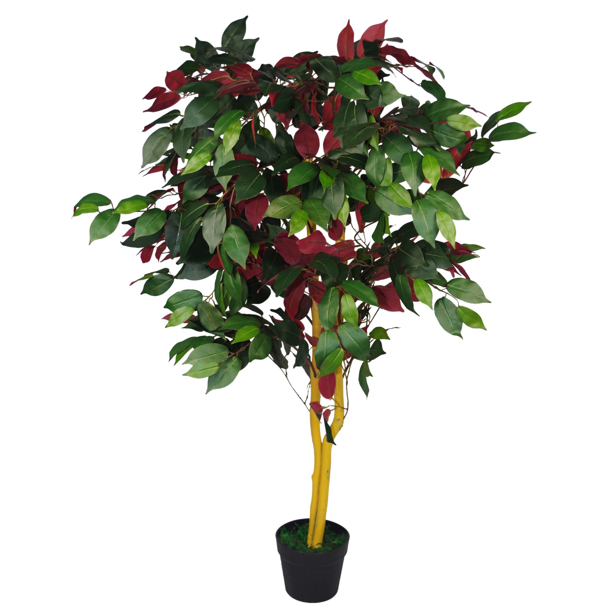 Leaf Artificial Ficus Tree/Plant, Mixed Materials, Red Green Capensia, 120cm — image 1
