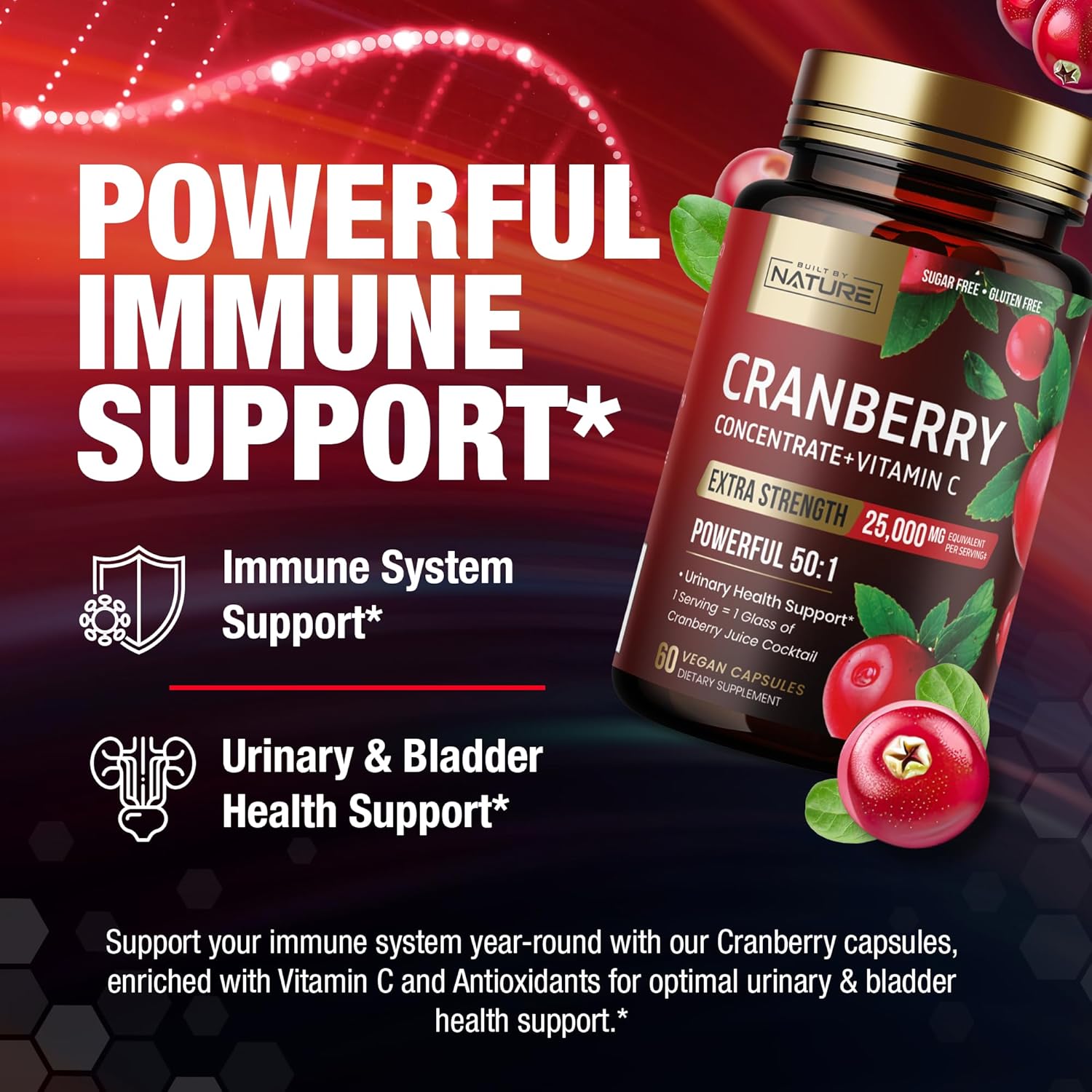 Built by Nature Cranberry Pills 25,000mg - Extra Strength 50:1 Concentrate Extract with Vitamin C - Urinary Tract Health Supplement for Women - Non-GMO, Sugar Free, Vegan - 60 Capsules - Image 3