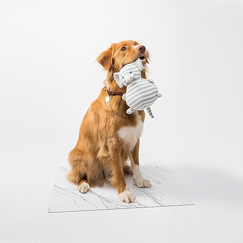 Miniatura 7 de POVODA Tapete de baño de secado rápido, antideslizante, súper absorbente, lavable, de goma para debajo de la puerta, delgado (17.3 x 30 pulgadas,