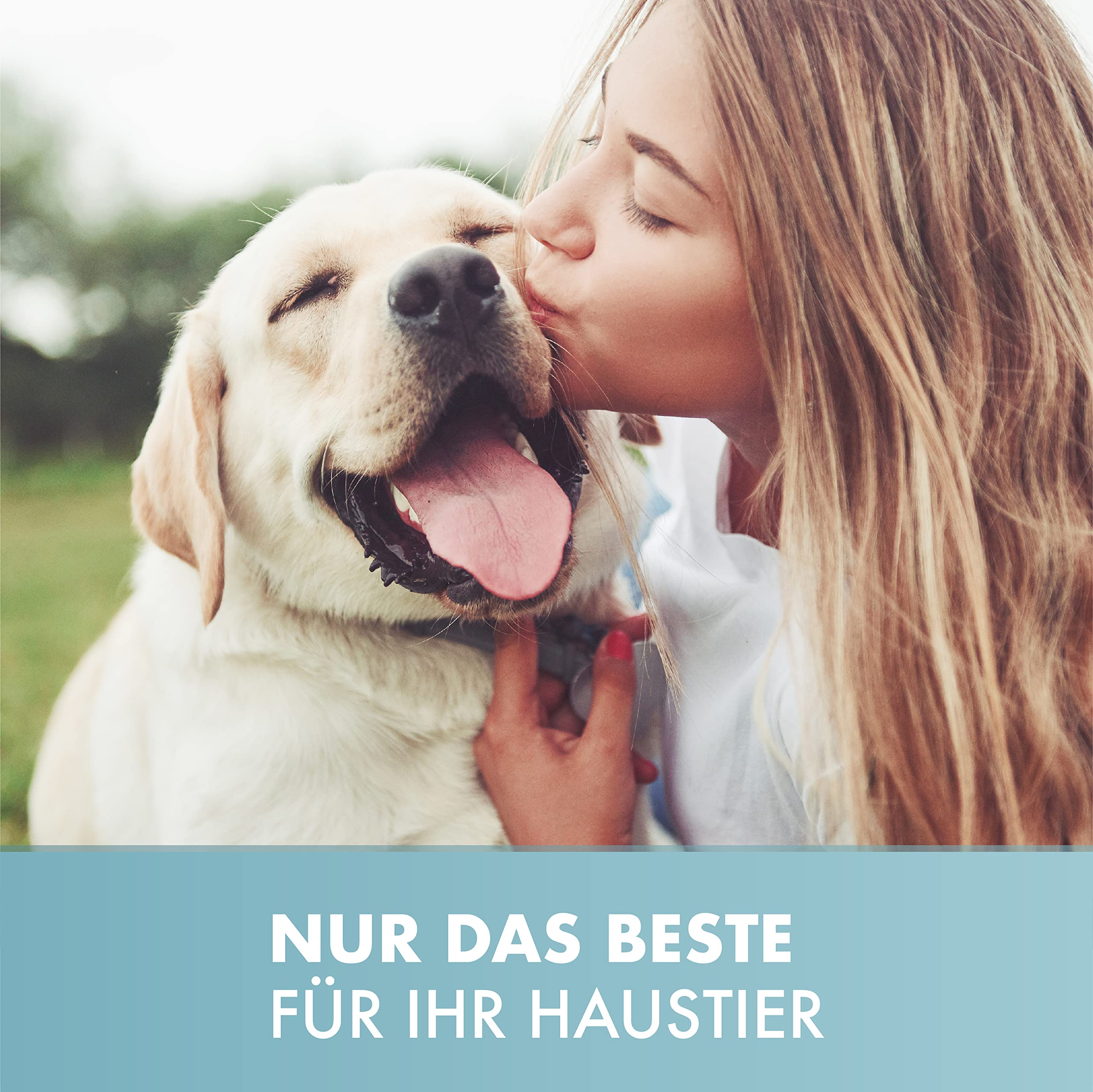 Hunde-Bett mit Visco-Kissen - waschbares Hundekörbchen - hochwertiges Hundesofa - gelenkschonendes Hundekissen - robuste Hundematte - orange - Gr. L - 115 x 85 cm