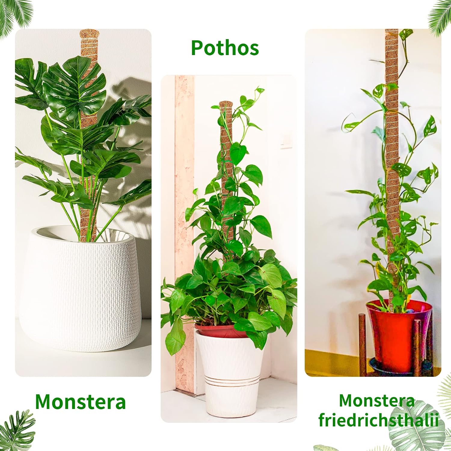 JJGoo Tall Moss Pole, 35.4 inch Bendable Moss Pole for Plants Monstera, Handmade Plant Sticks Support to Train Indoor Plants to Grow Upwards, Plant Support Stakes for Climbing Plants Growth