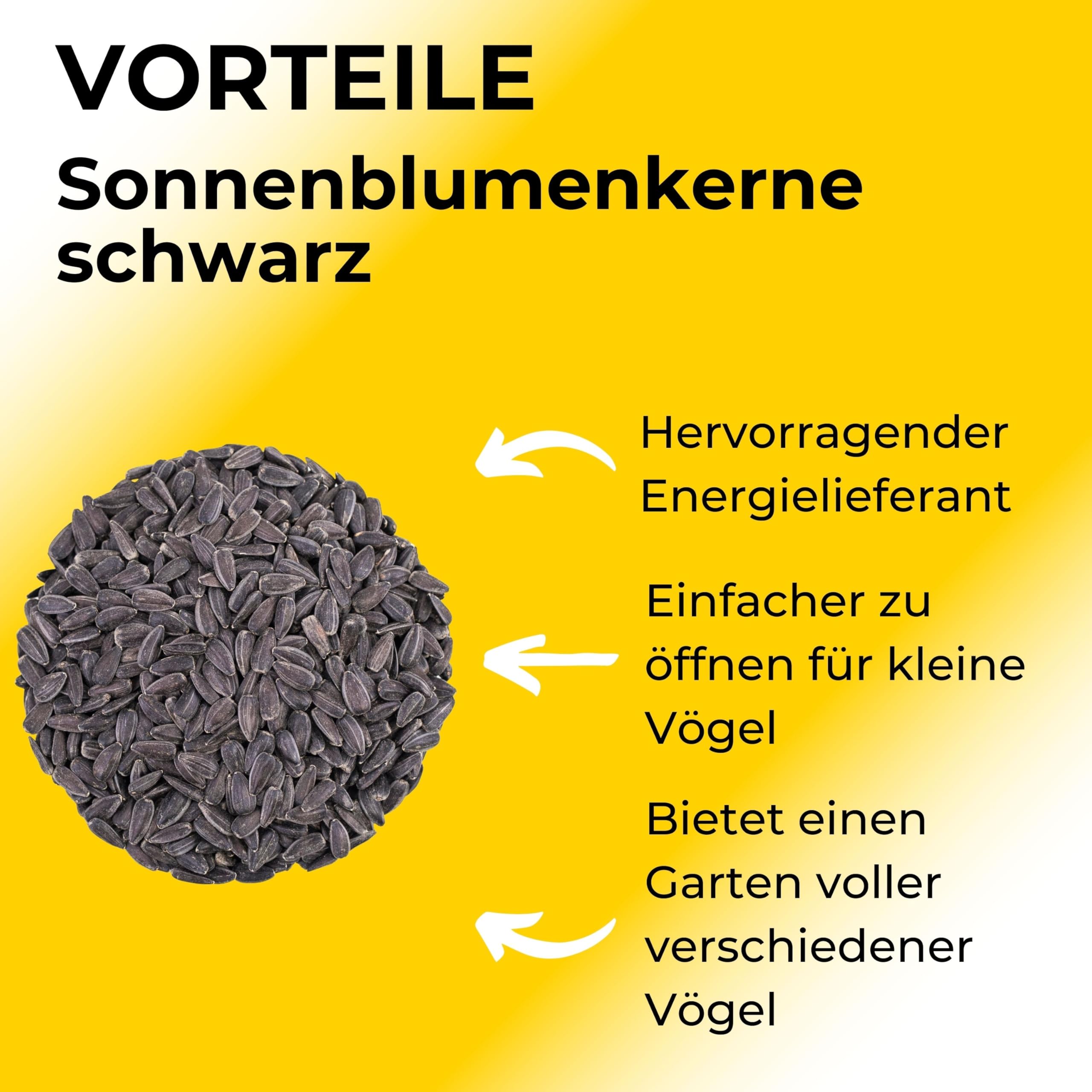 Semi di girasole neri - 25 kg. nuovo raccolto