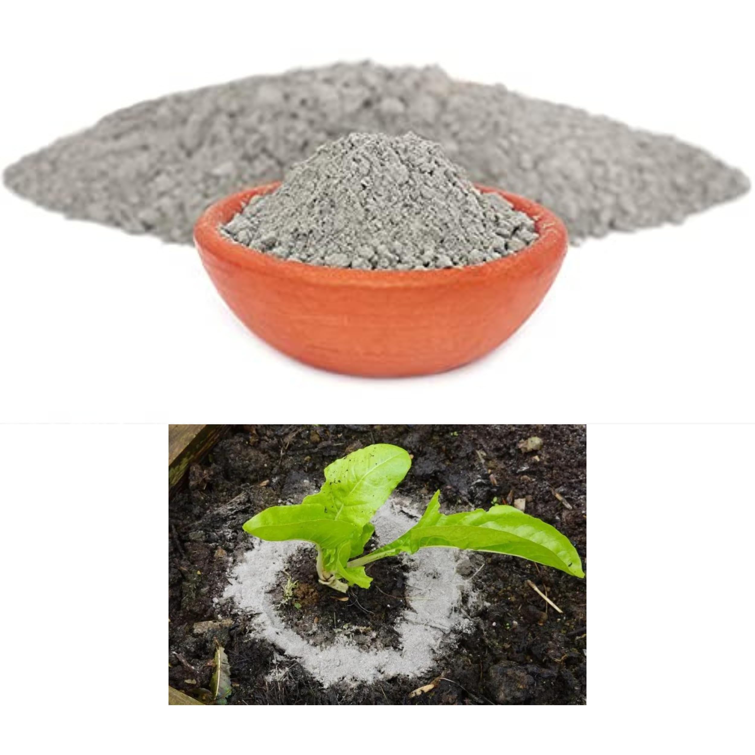 Natural Pure Wood Ash Powder (Raakh) |Wood Ash Fertiliser for Plants,Gardening,wood Ash for Fruit & Vegetable Gardens Improves Root Health(100% Natural Nutrient) (B0D14GFG5C) Amazon Price History, Amazon Price Tracker