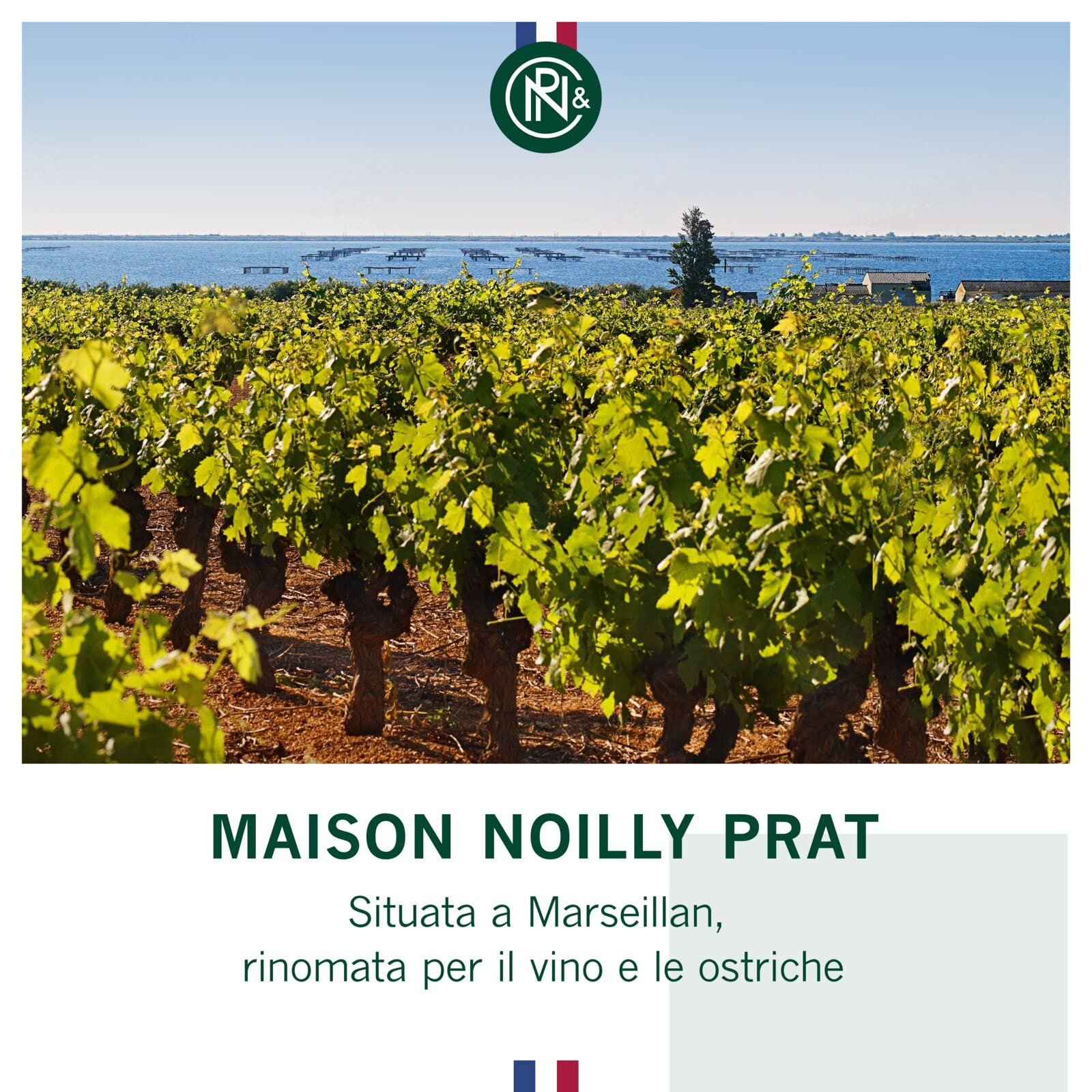 Noilly Prat Original Dry Vermouth, 18% Vol., 75 cl / 750 ml, un aperitivo francese ideale per il cocktail Martini, creato con 20 erbe e spezie come camomilla, coriandolo, arancia e fiori di sambuco