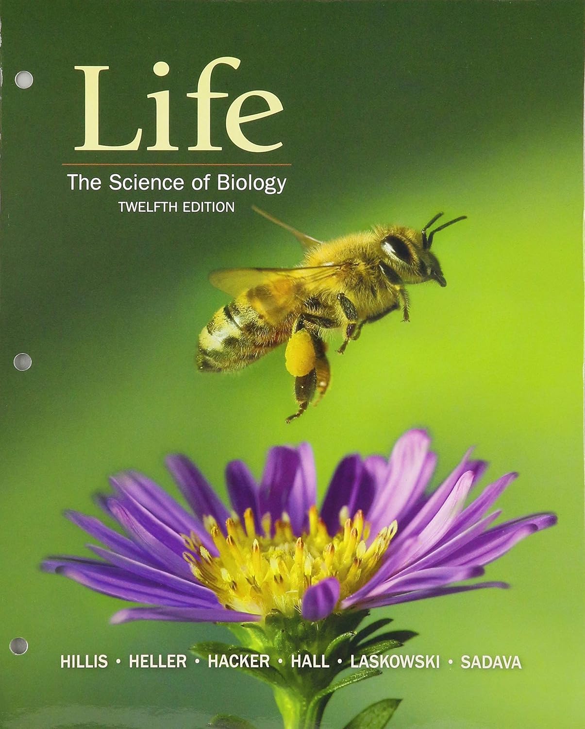 LooseLeaf Version for Life The Science of Biology Amazon.co.uk