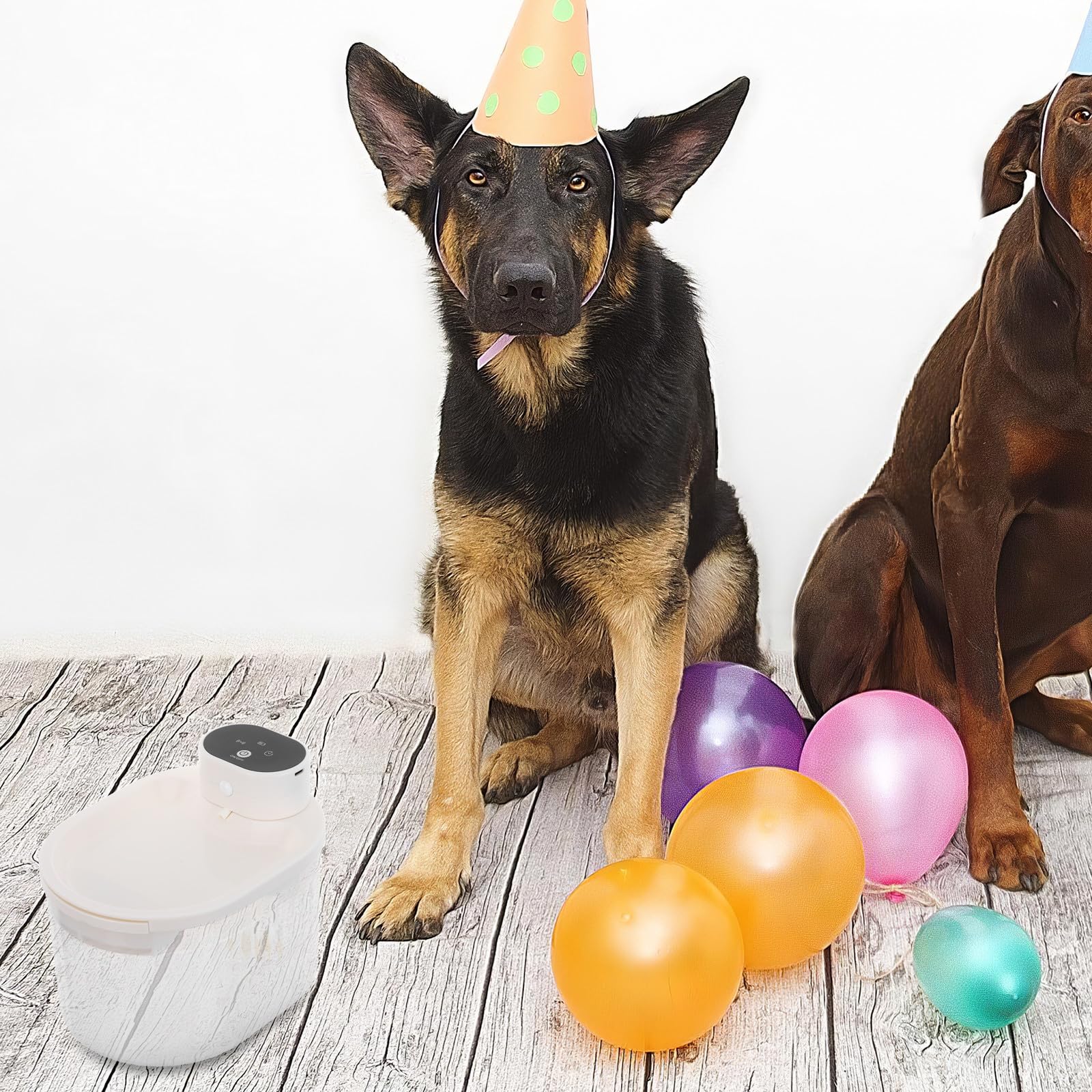 Fontanella Intelligente per Gatti e Cani 3l senza Fili con Sensore