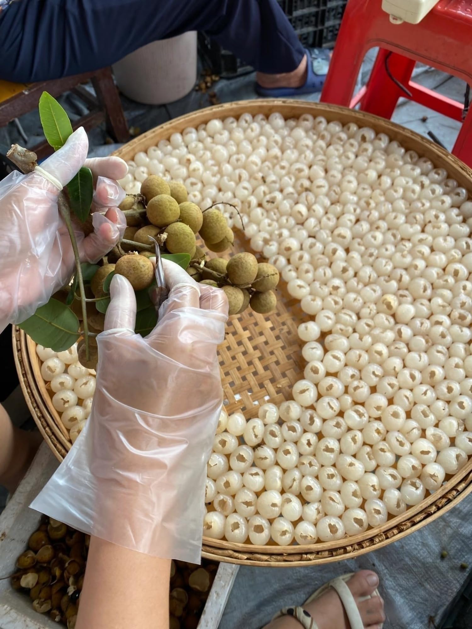 Carne seca de Longan, 500 g de pulpa grande, sin aditivos, nuevo cultivo fresco de temporada, regordete y dulce, pulpa natural de Longan.
