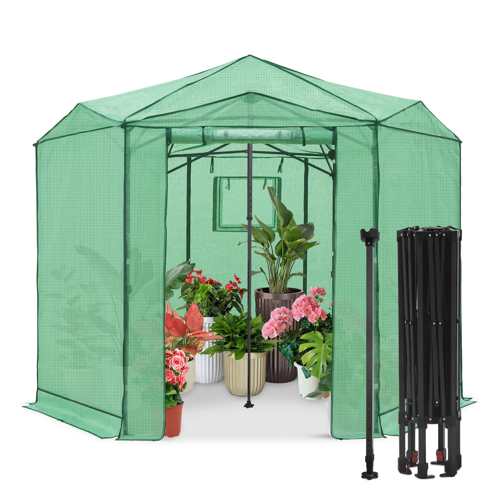 EAGLE PEAK 8.5x8.5 Easy Setup Pop Up Greenhouse, Hexagon, Clear/Green