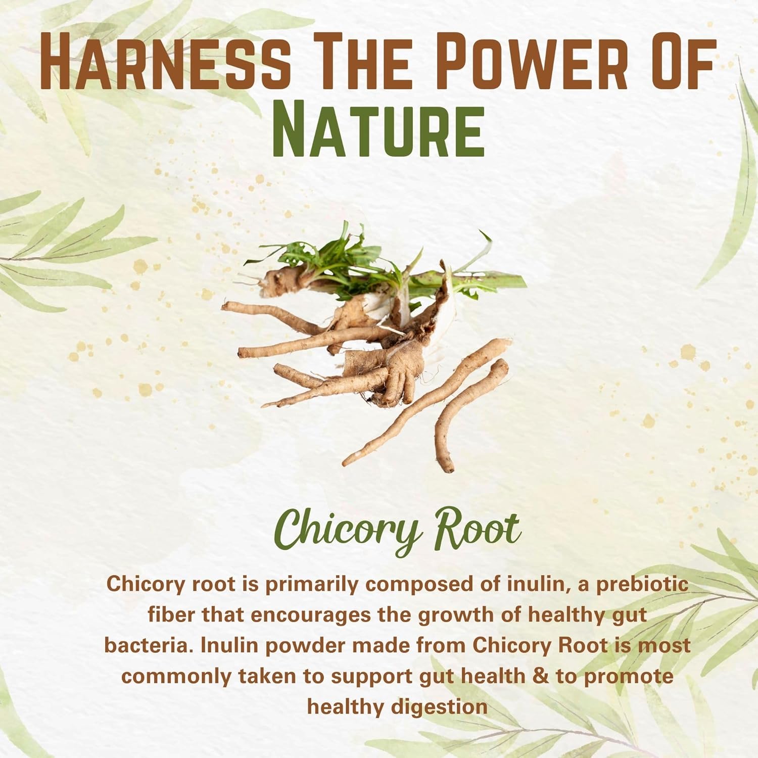 Go Nutra Inulin Powder Organic Chicory Root (FOS) - Soluble Inulin Fiber Prebiotic Natural Prebiotic Fiber Supplement | Intestinal Support Gut Health Vegan Keto Friendly 8oz. - Image 3