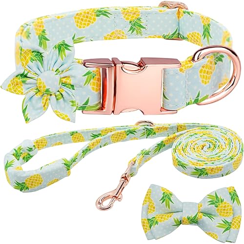 Girl Dog Collar and Leash Sets with Bow Tie, Dog Collar with Detachable Flower with Dog Tag Strong Gold Buckle for Small Medium Large Dogs