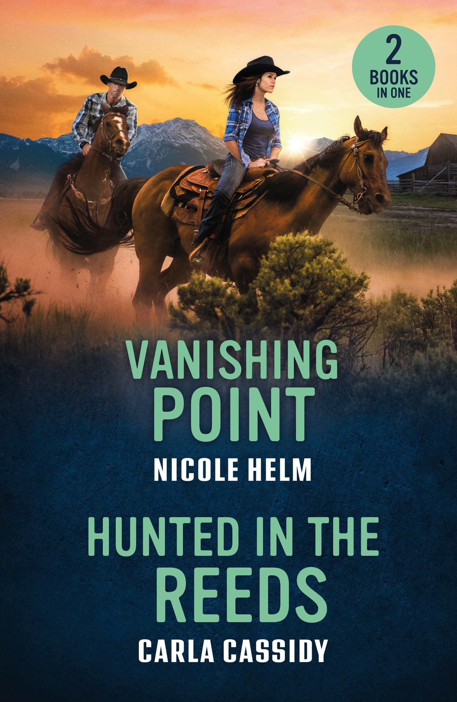 Vanishing Point / Hunted In The Reeds: Don’t miss these two mystery romances perfect for fans of small towns an second chances in 2026!